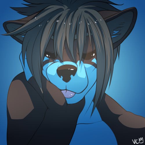 user avatar image for Bernpaulson