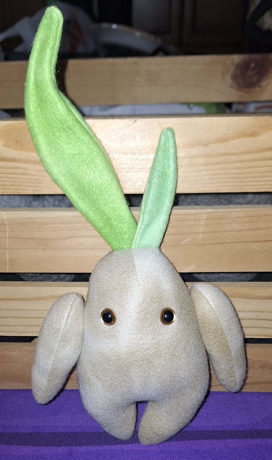 Mandrake - Brown Eyes - Medium Size