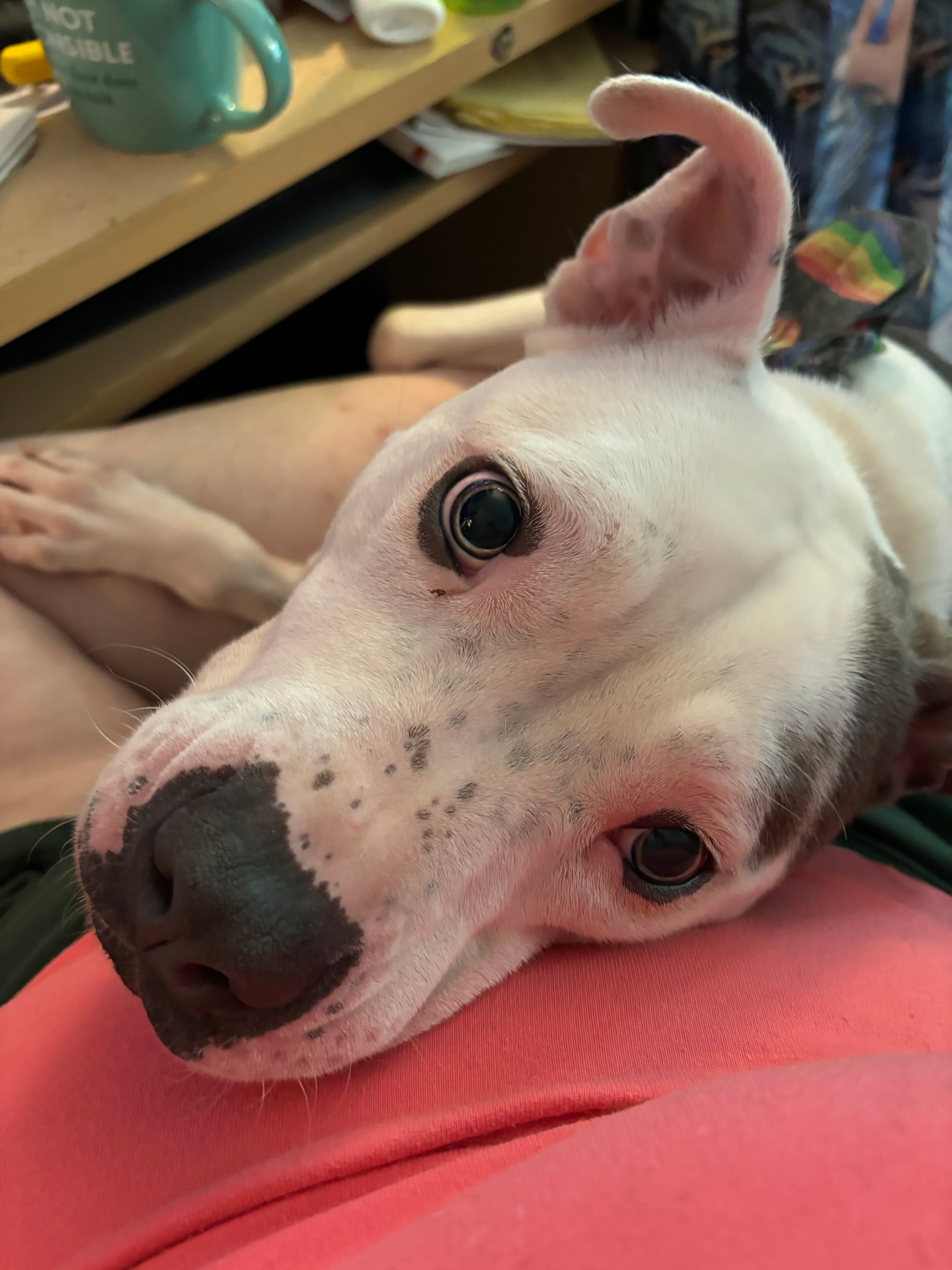 user avatar image for Lyssanna