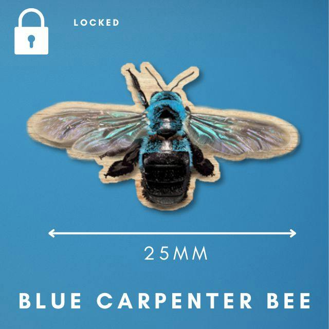 a blue carpenter bee 25mm wooden mini pinhttps://www.backerkit.com/c/projects/loadofolbobbins/mini-bee-sts-insect-inspired-merch?ref=bk-social-project&utm_source=backerkit&utm_medium=social&utm_campaign=bk-social-project