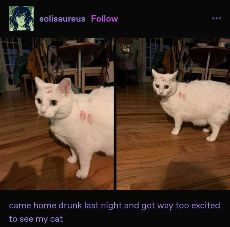 user avatar image for GallowsKittens