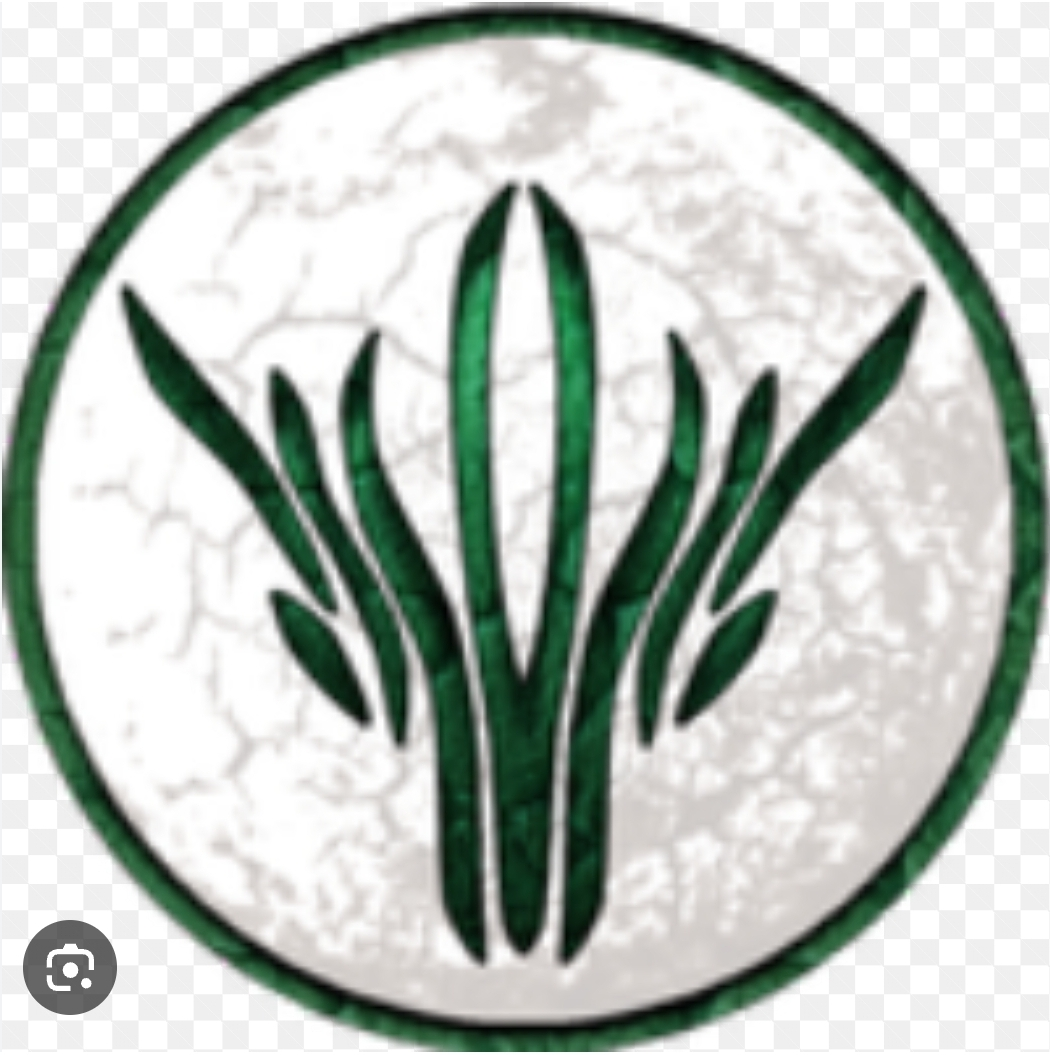user avatar image for Alex Holloway
