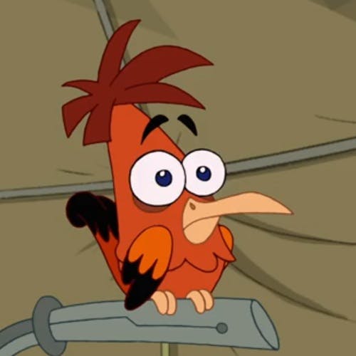 user avatar image for Tactical Drongo