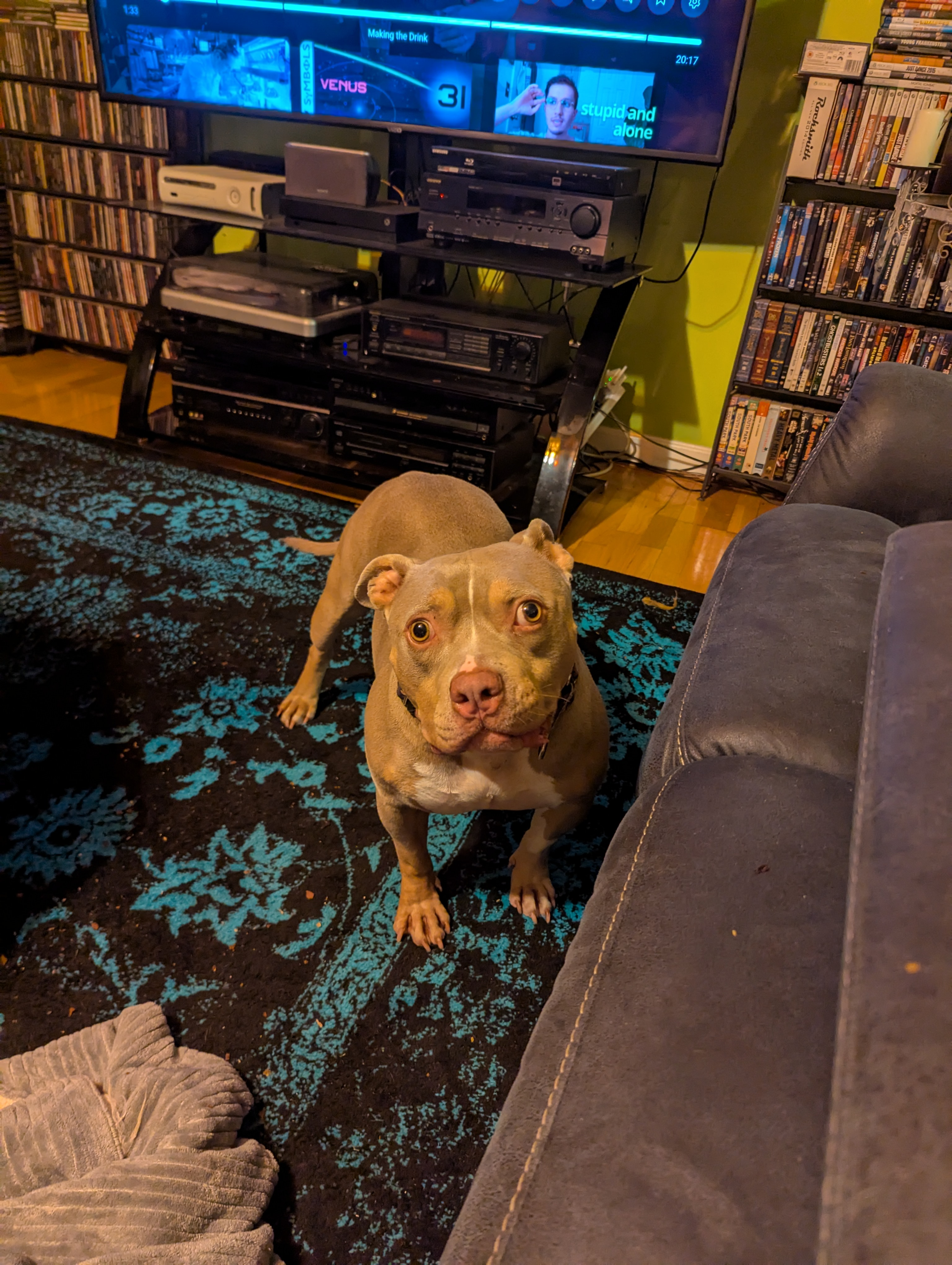 user avatar image for Dorian