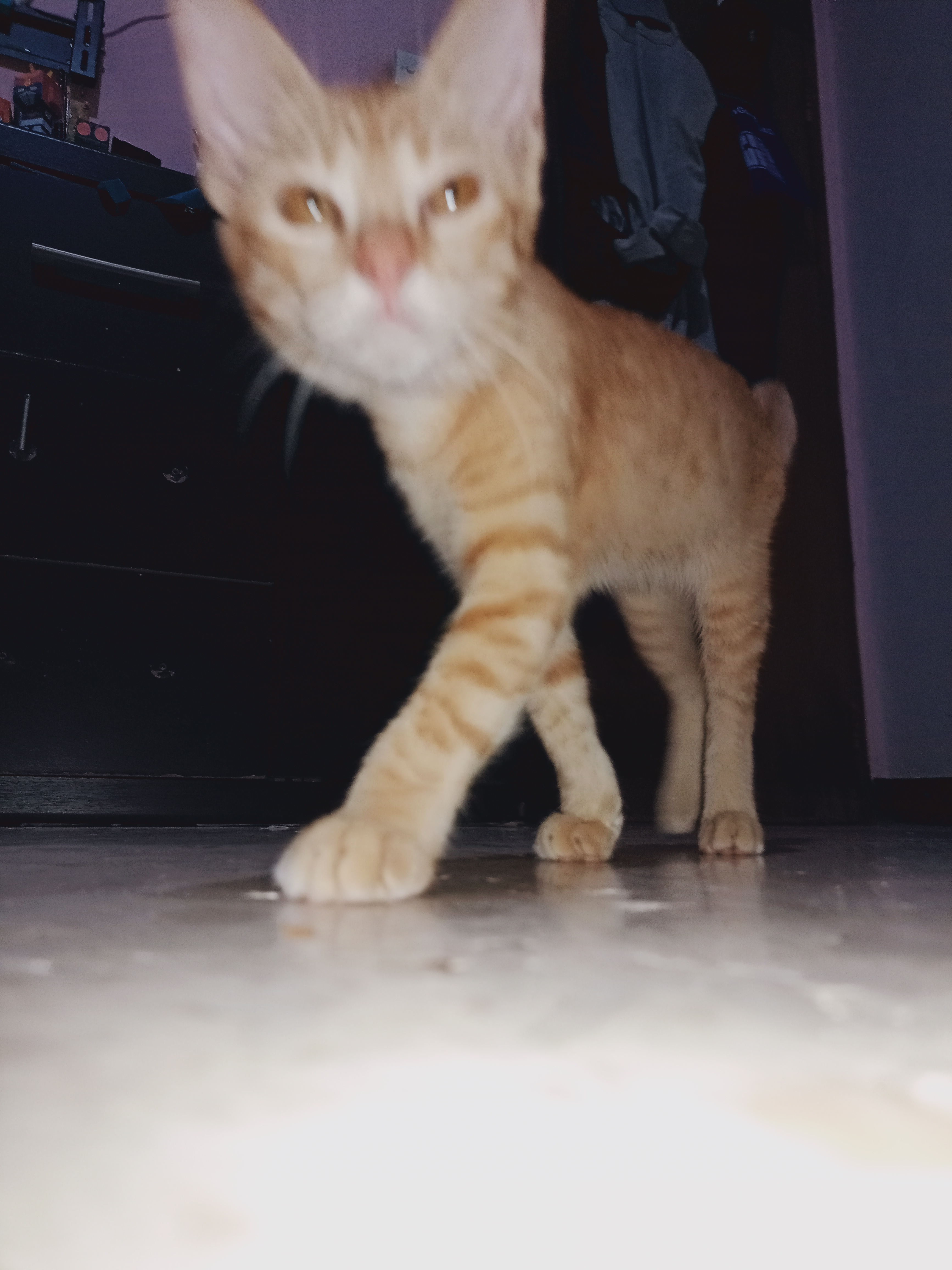 user avatar image for louie