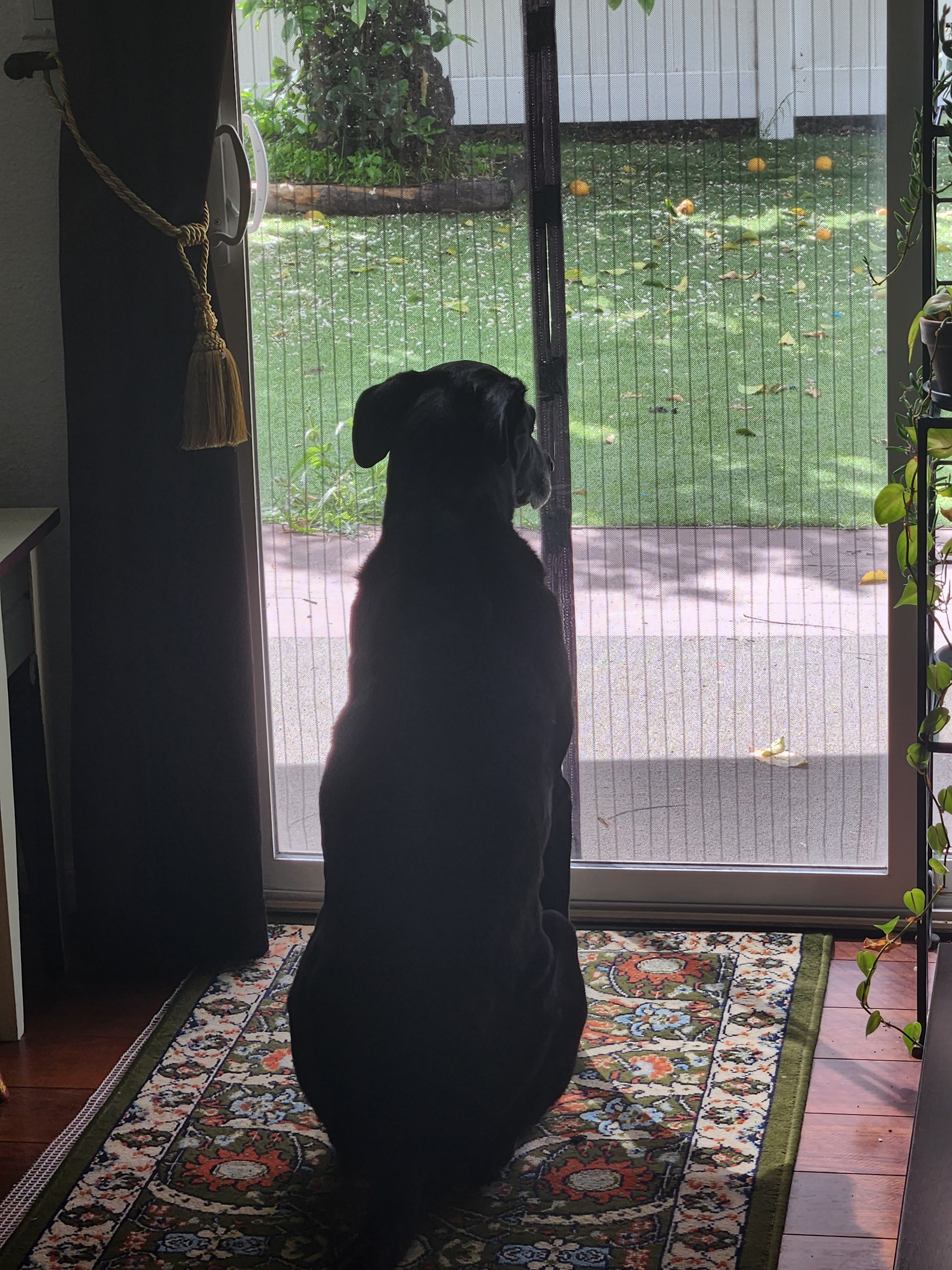 user avatar image for Jeremy A.