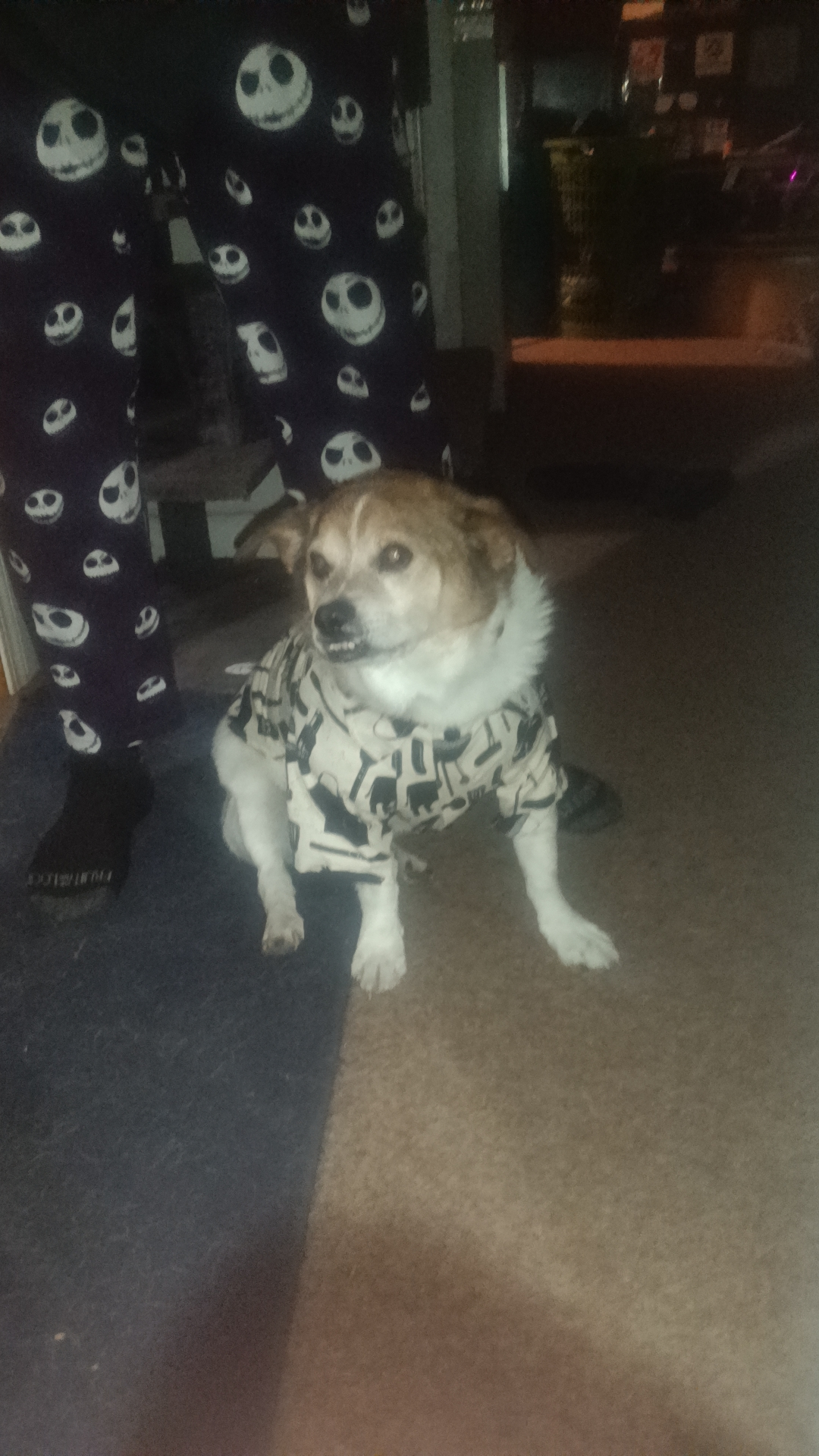 user avatar image for Nate Copeland