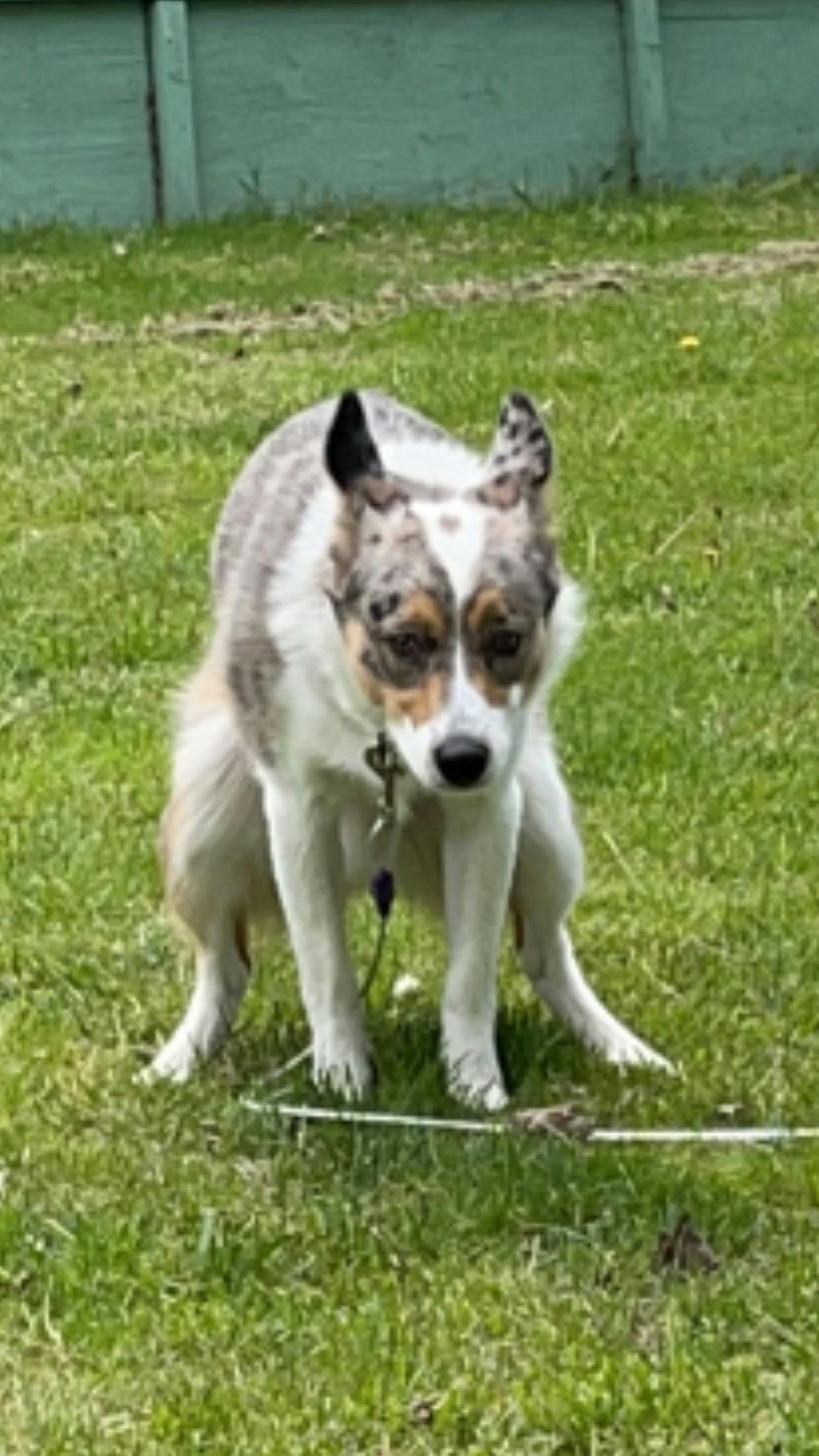 user avatar image for Mad Maggot