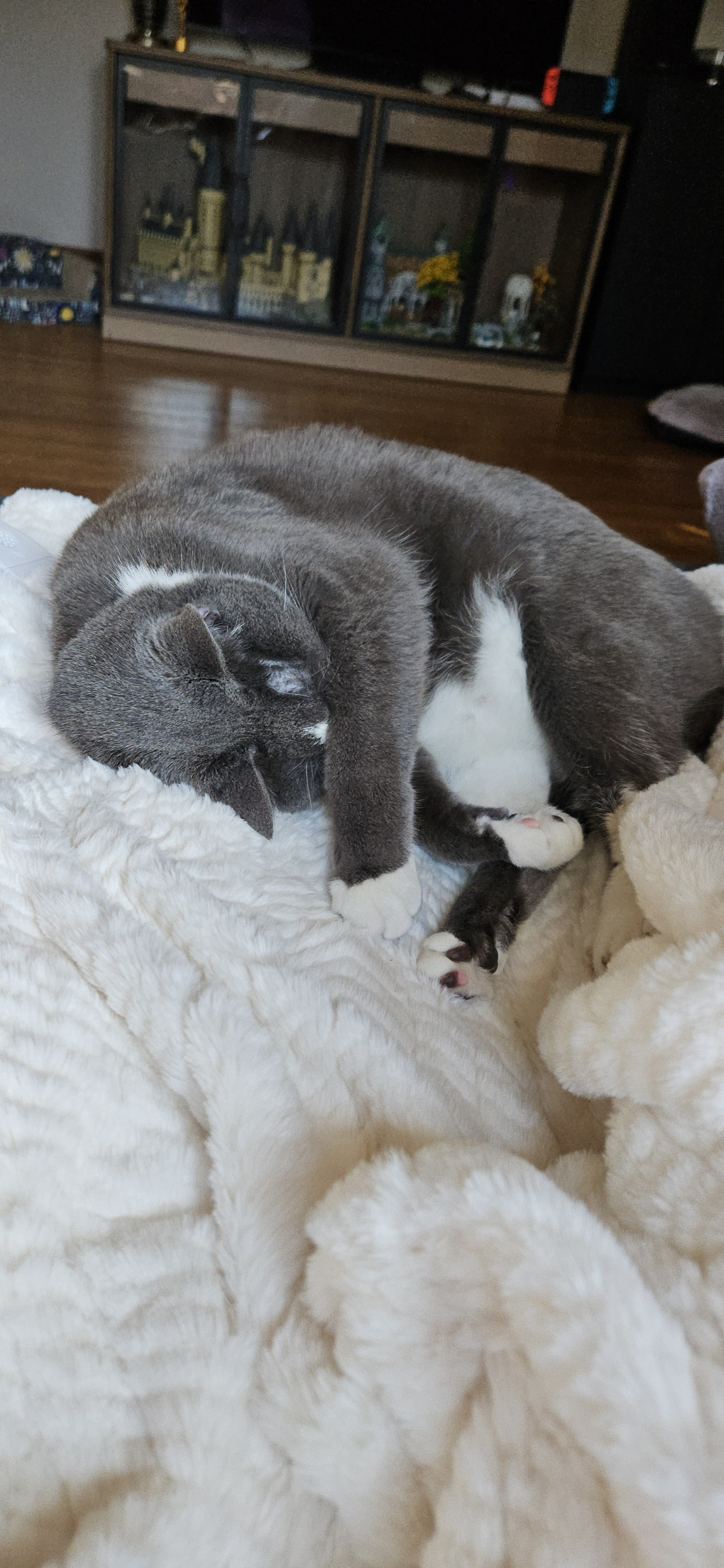 user avatar image for Maggie