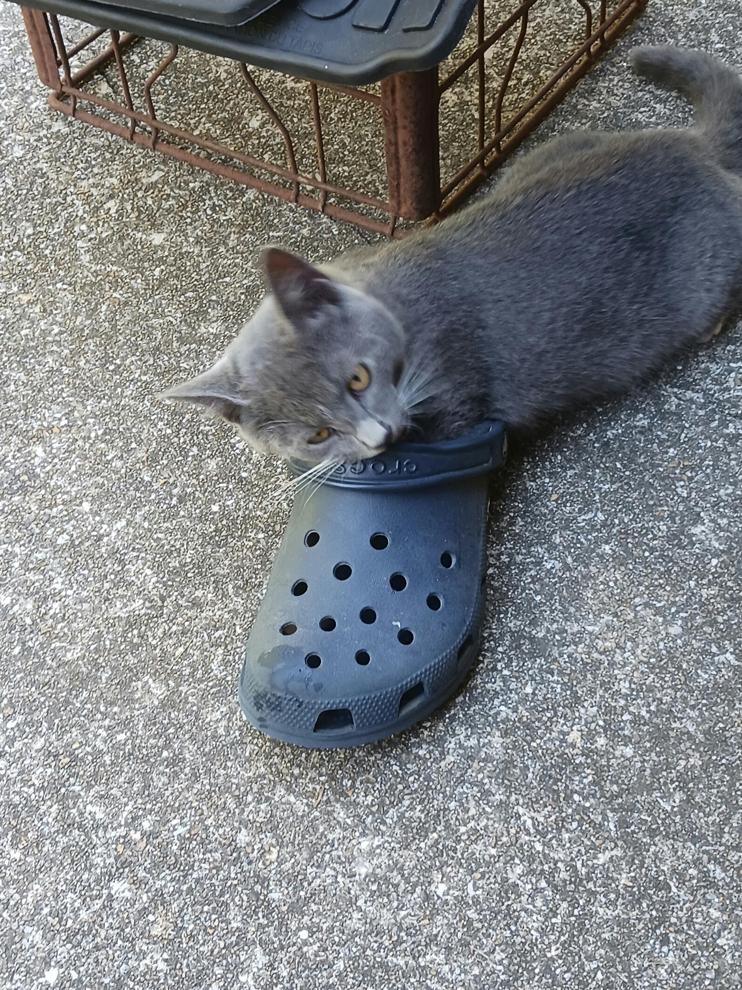 user avatar image for mostillermn