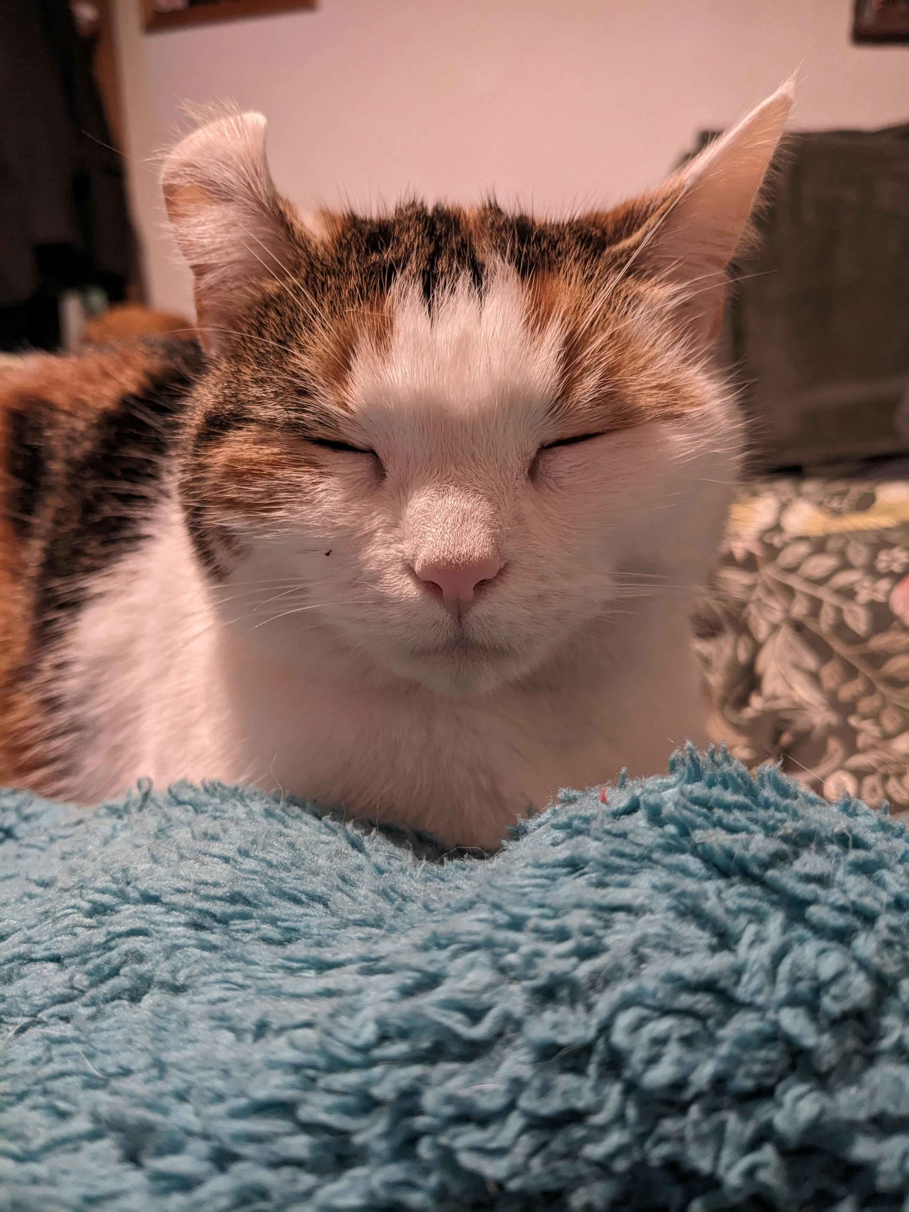 user avatar image for Seph