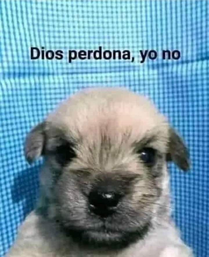 user avatar image for Edu_alxs