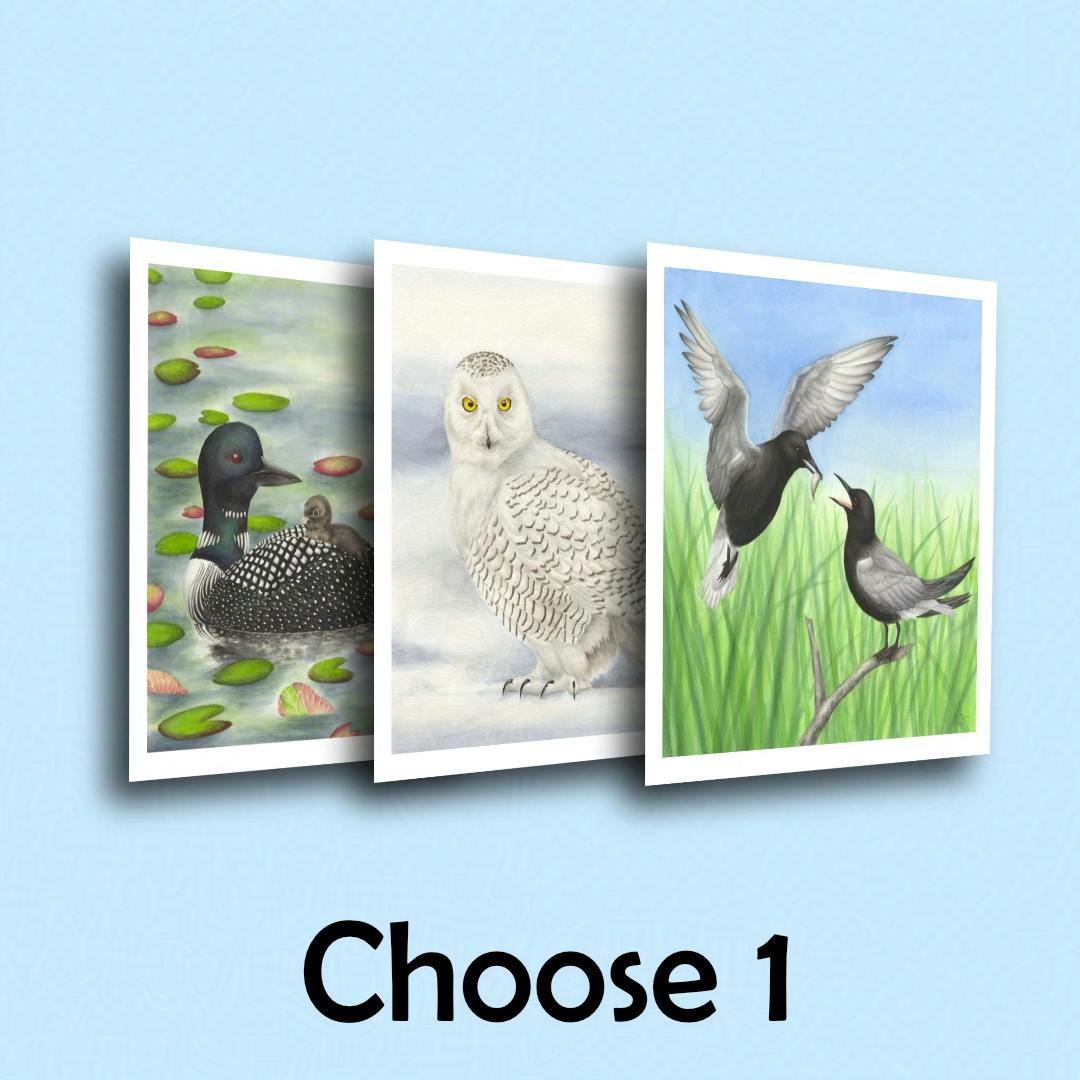 Large Print of Choice