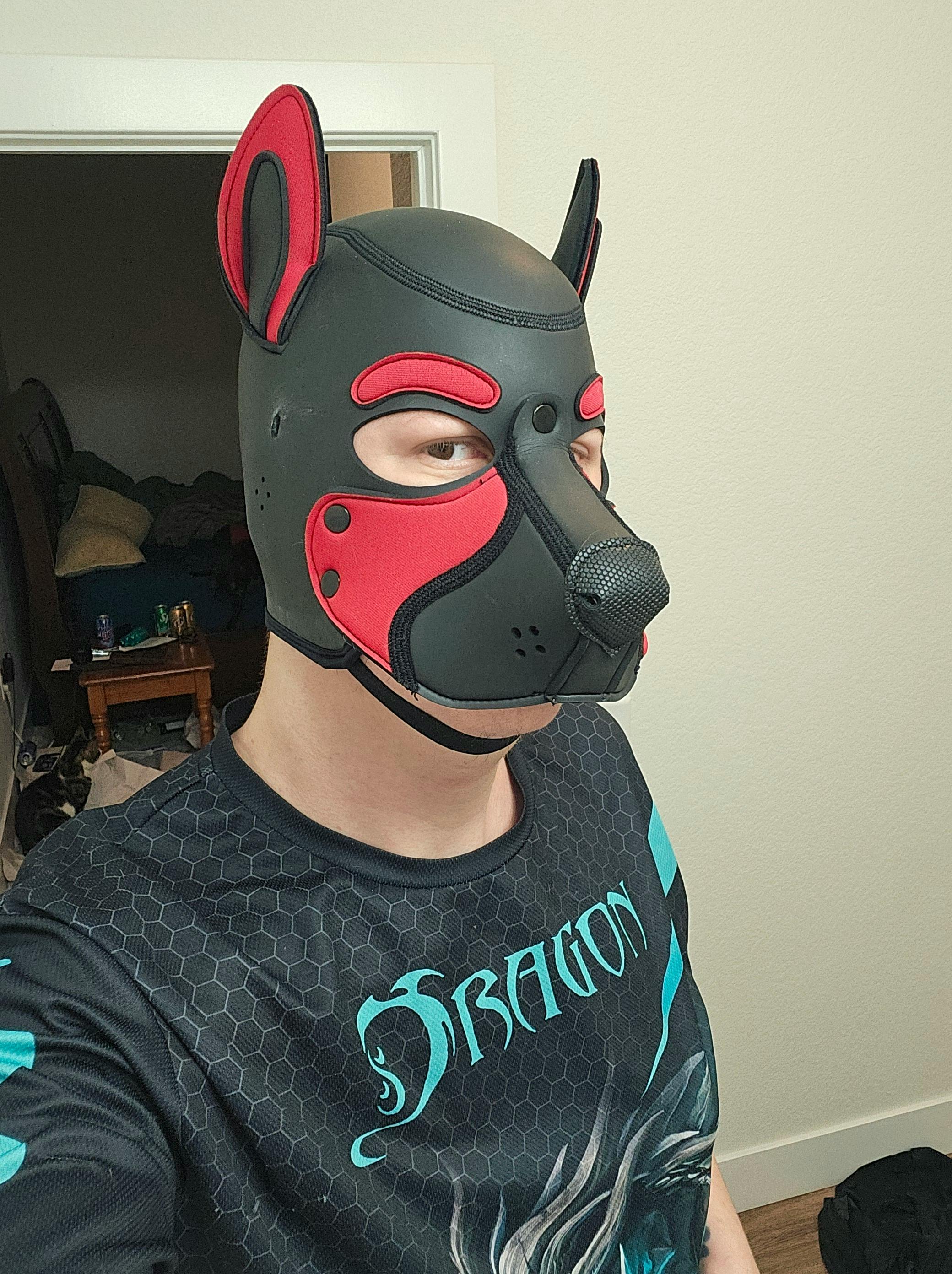 user avatar image for Pup_Color
