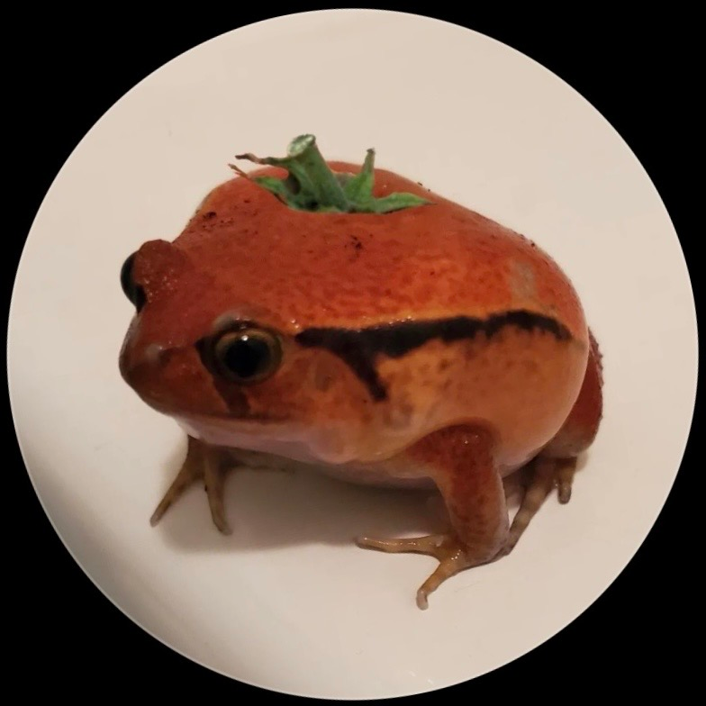 user avatar image for Eukesaurus