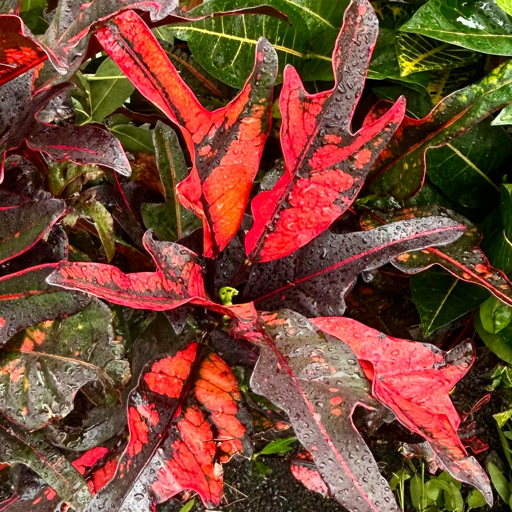 user avatar image for Z