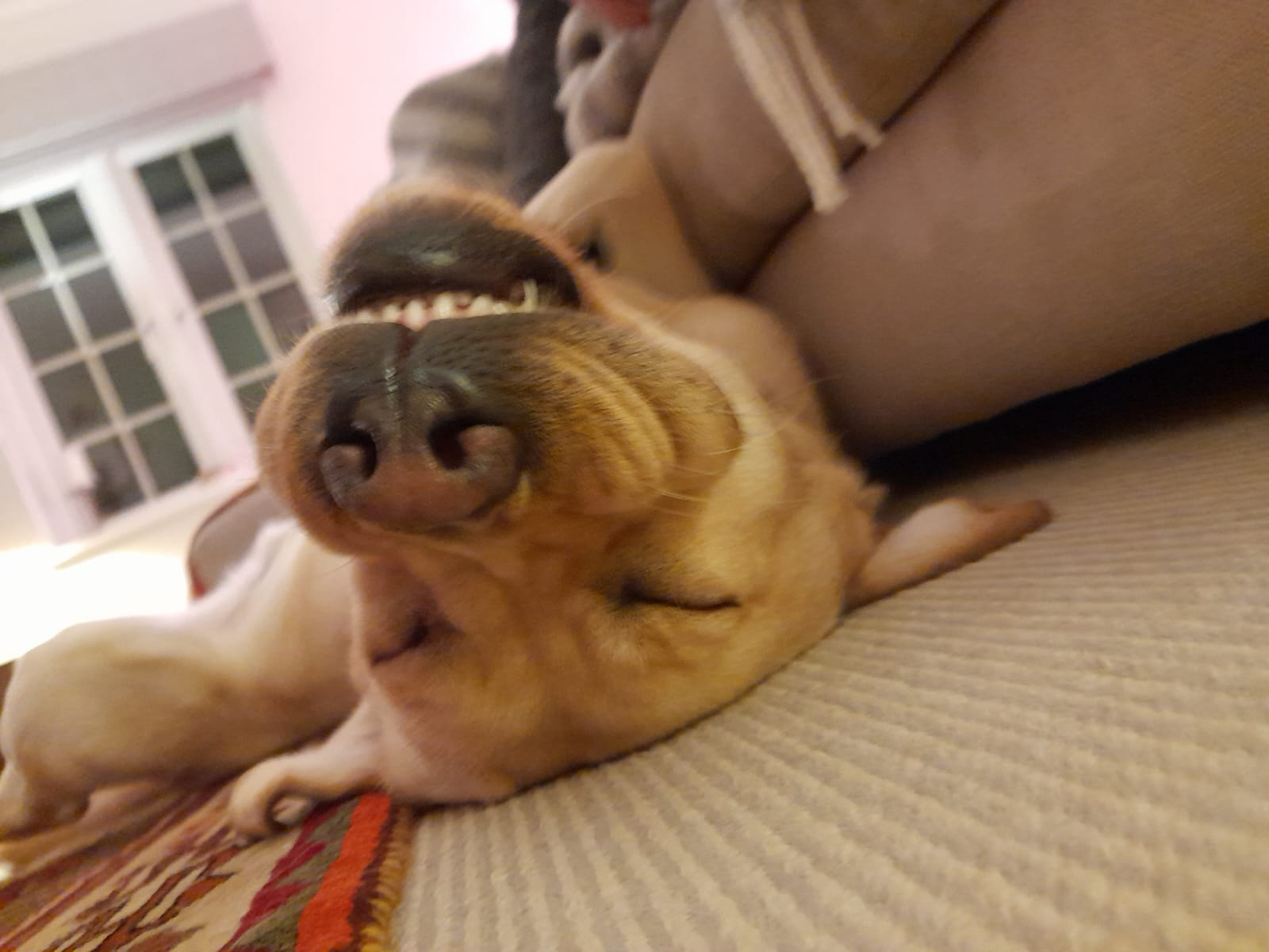 user avatar image for Davotomo