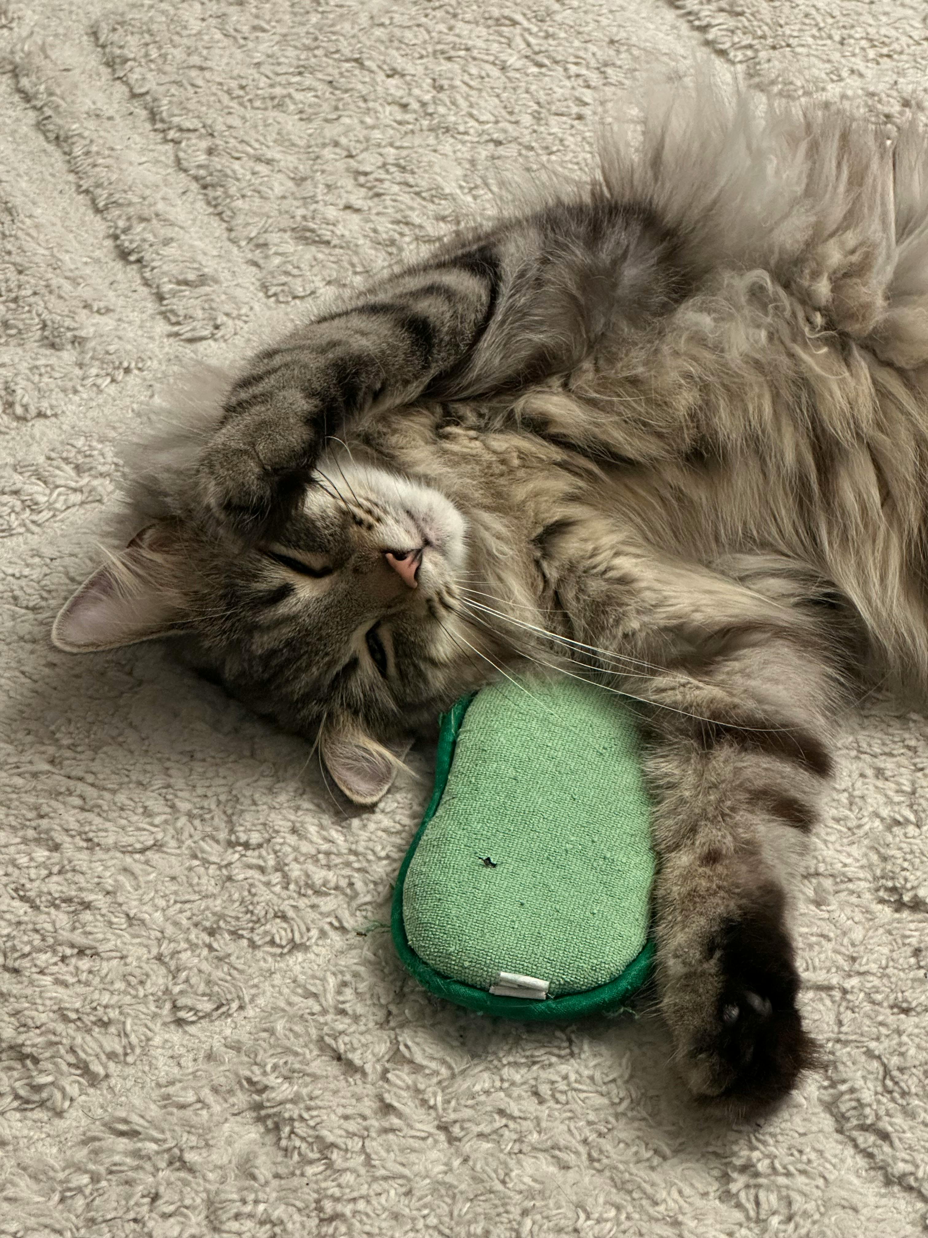 user avatar image for Sandrine