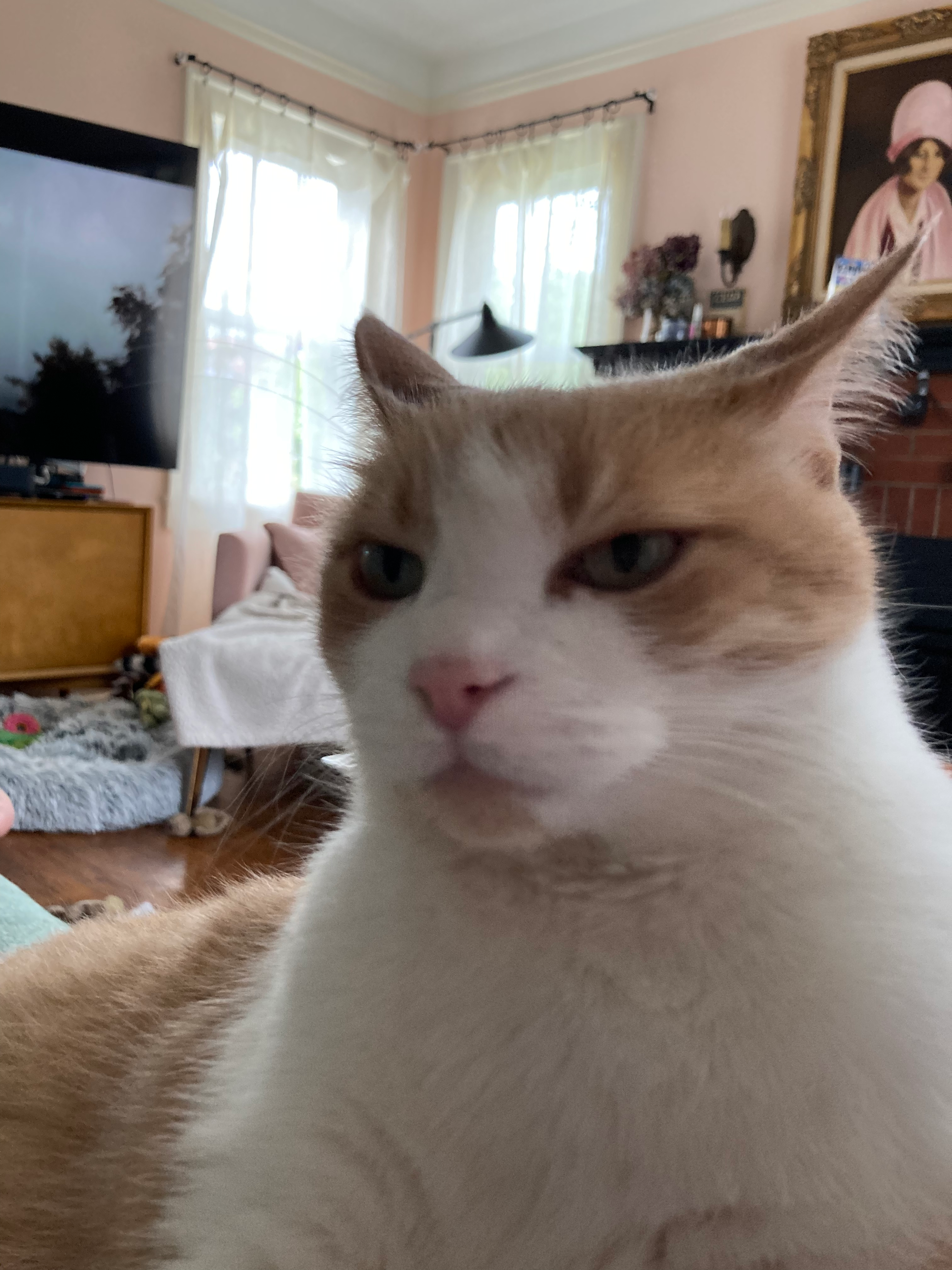 user avatar image for Hillary Colter