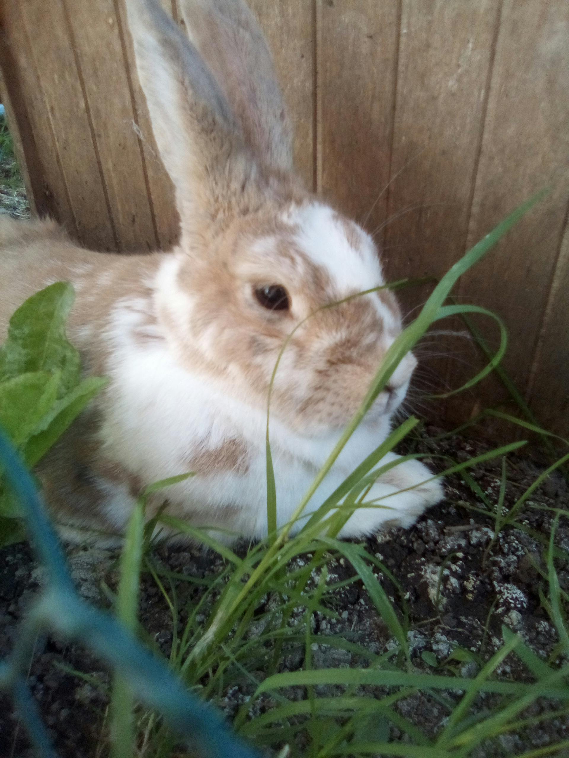 user avatar image for Hay