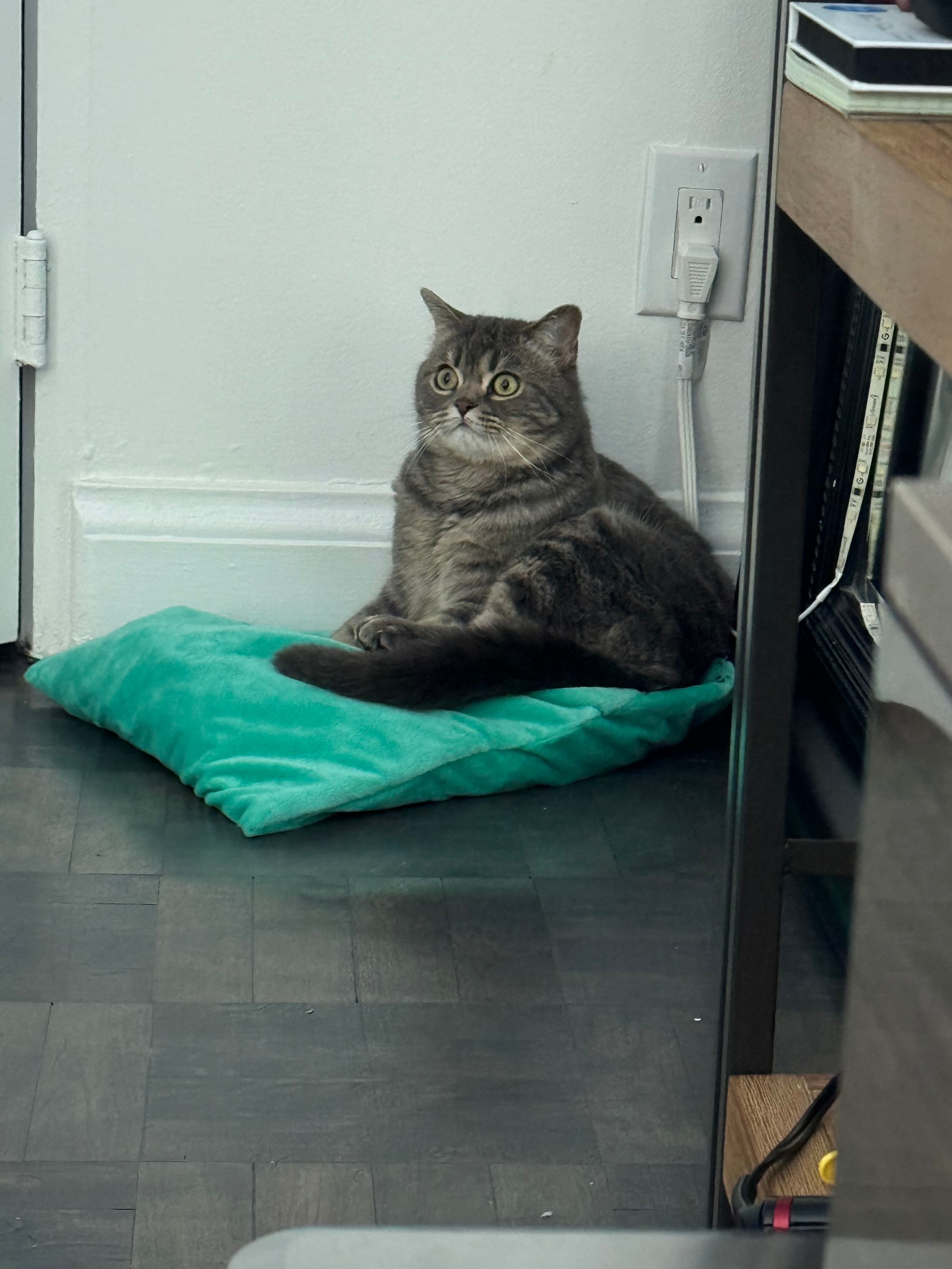 user avatar image for Max Macdonald