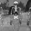 user avatar image for Skeleton Man
