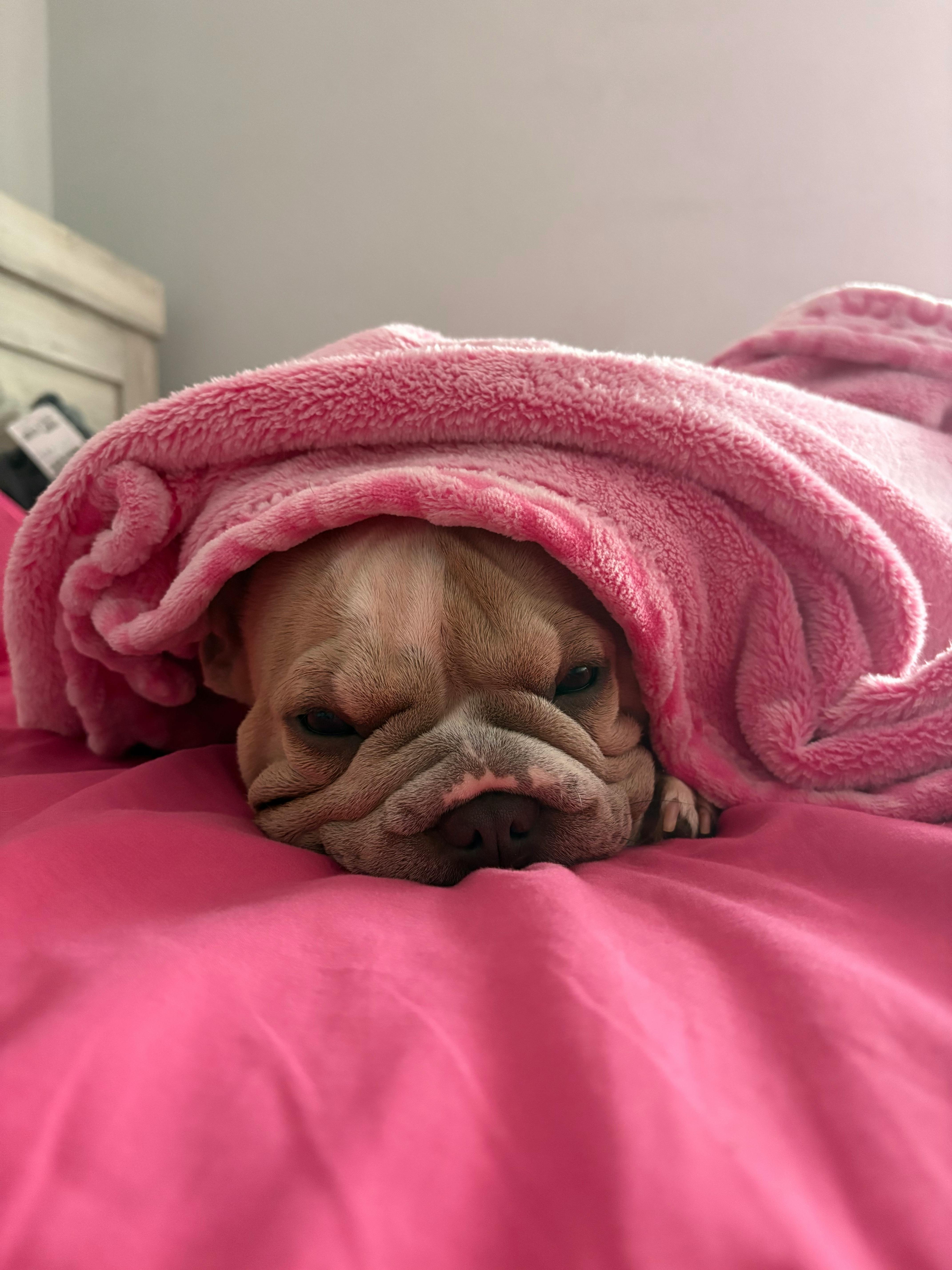 user avatar image for Lexxi 