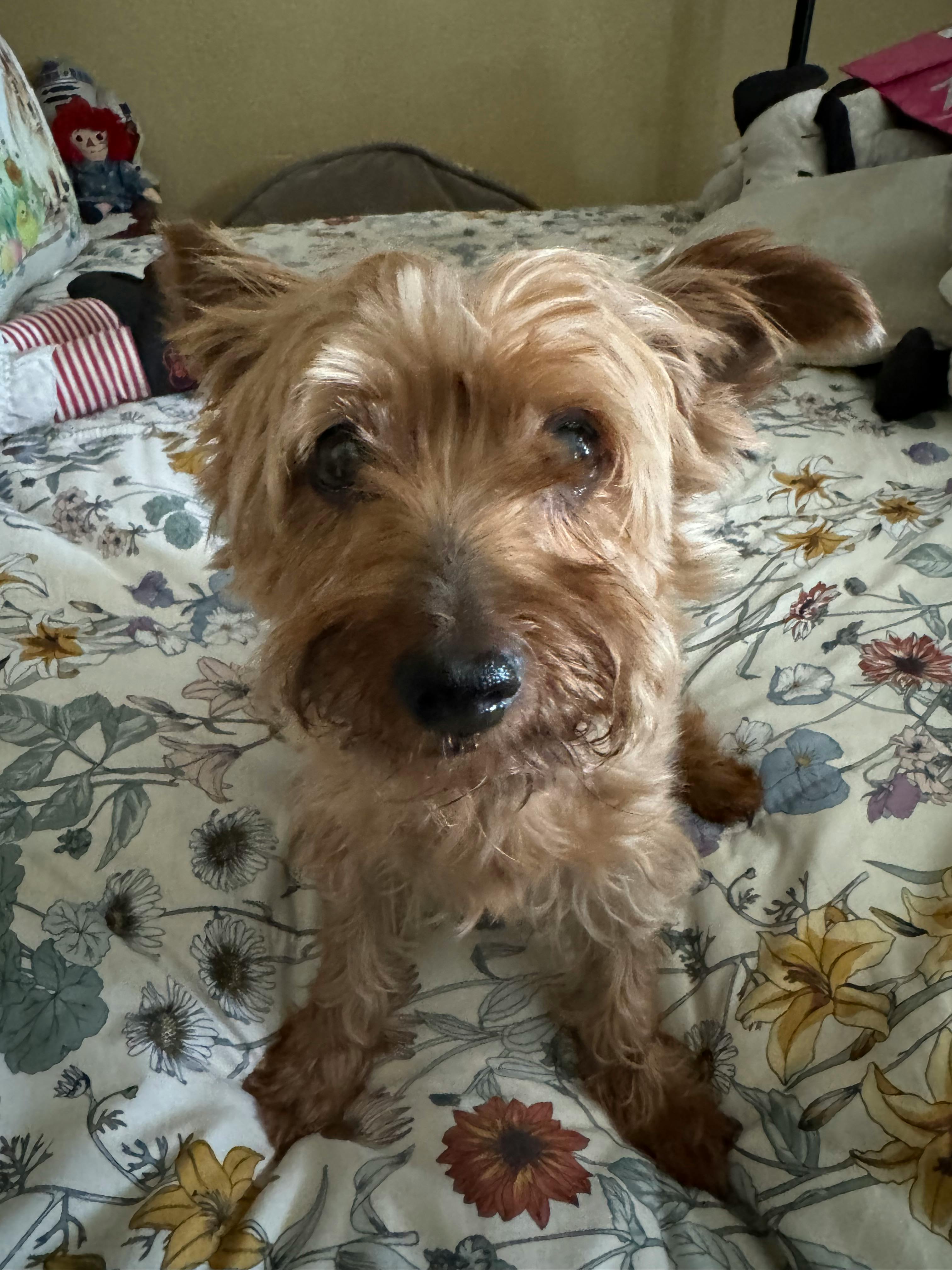 user avatar image for Jason Martinez