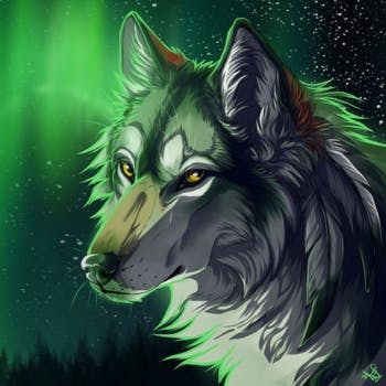 user avatar image for GreenWolf