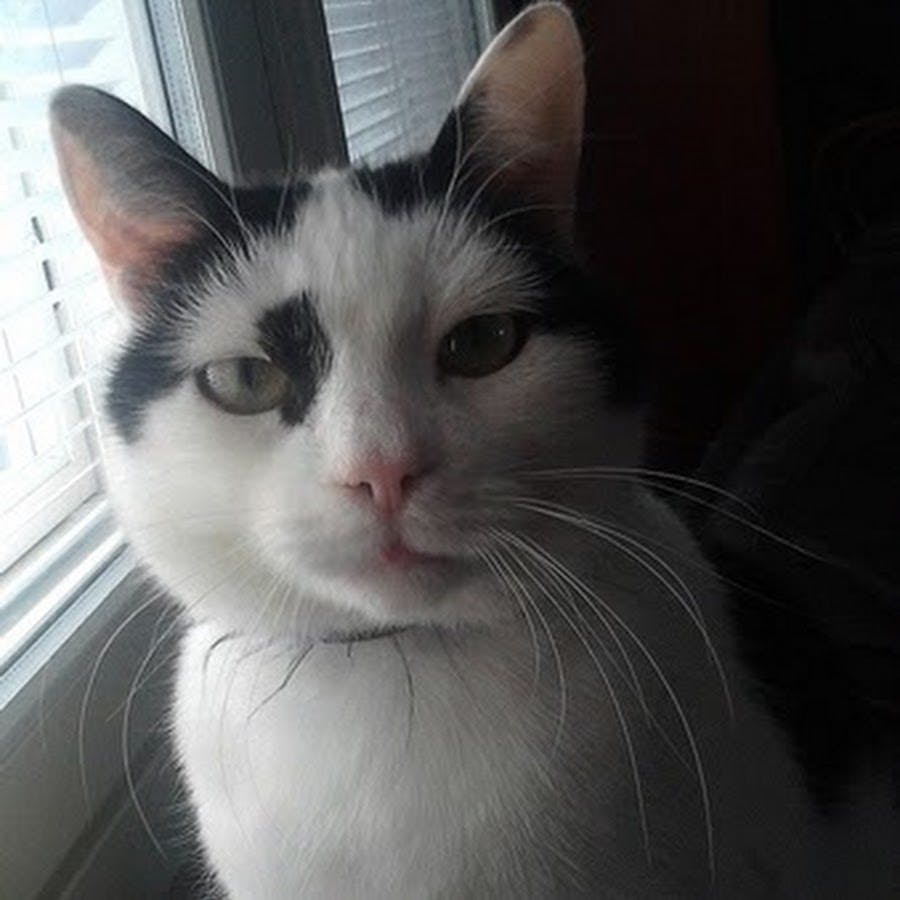 user avatar image for Manticore2020