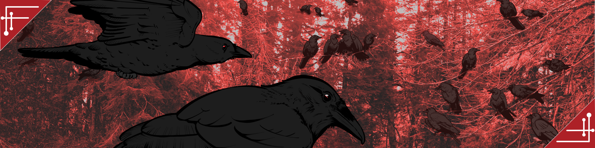 Return to Coyote & Crow with Ahu Tiiko