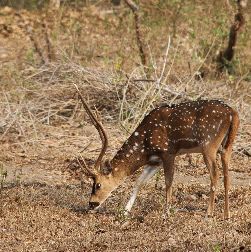 user avatar image for Marc