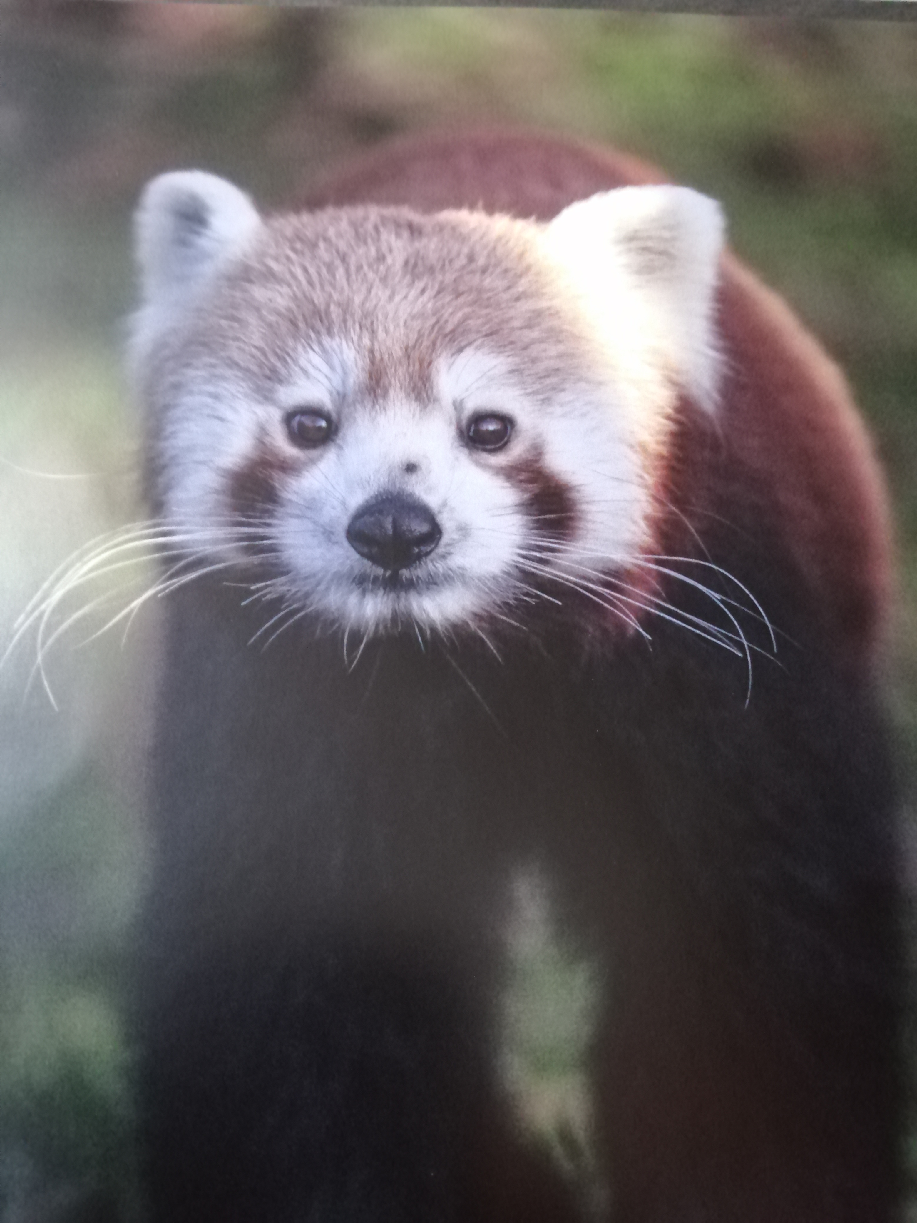 user avatar image for Strider23