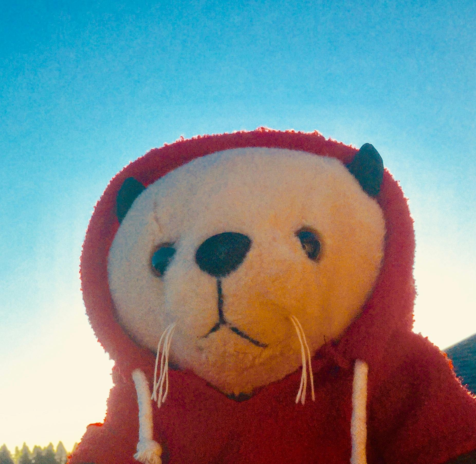 user avatar image for Otternity