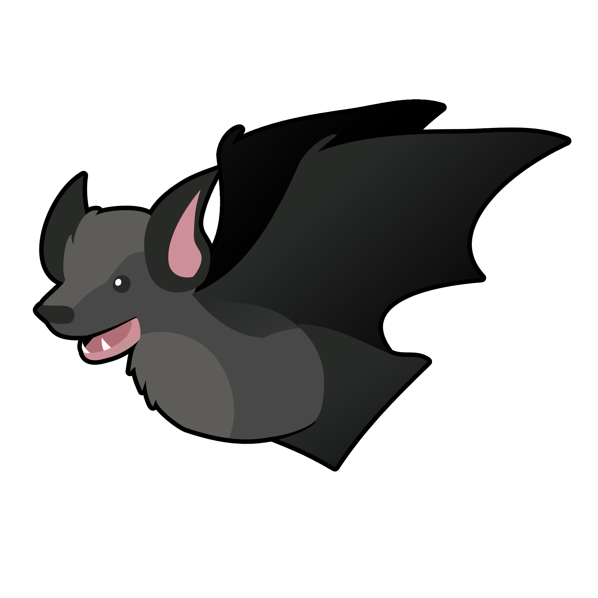 Silver Haired Bat