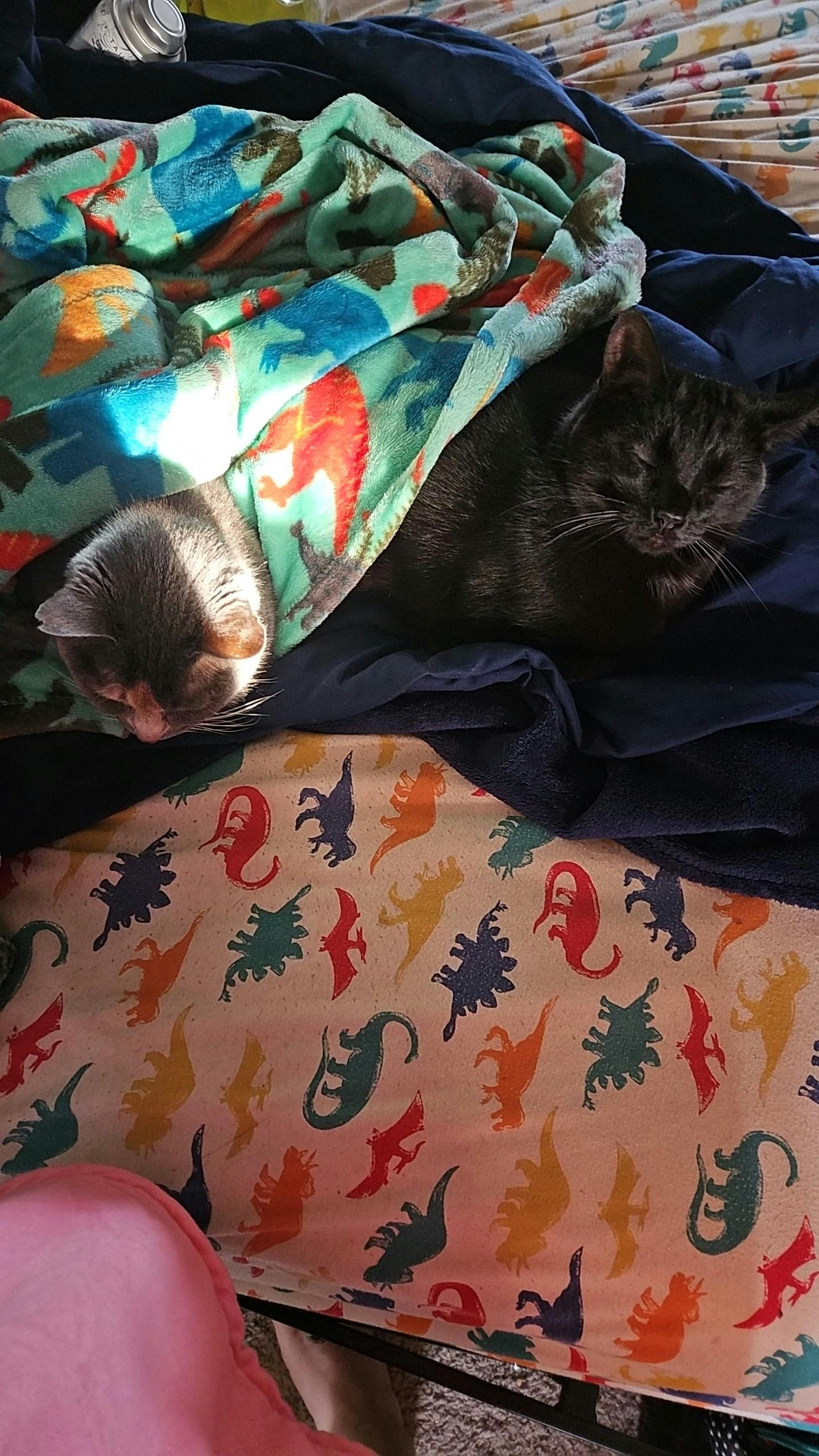 user avatar image for Rose