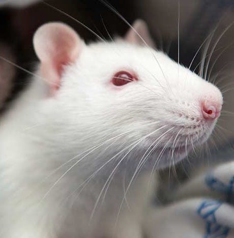 user avatar image for BlueBird