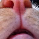 user avatar image for Jessy Crispo