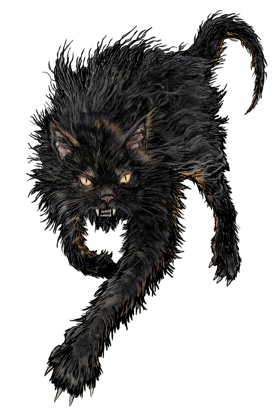 user avatar image for Quinn