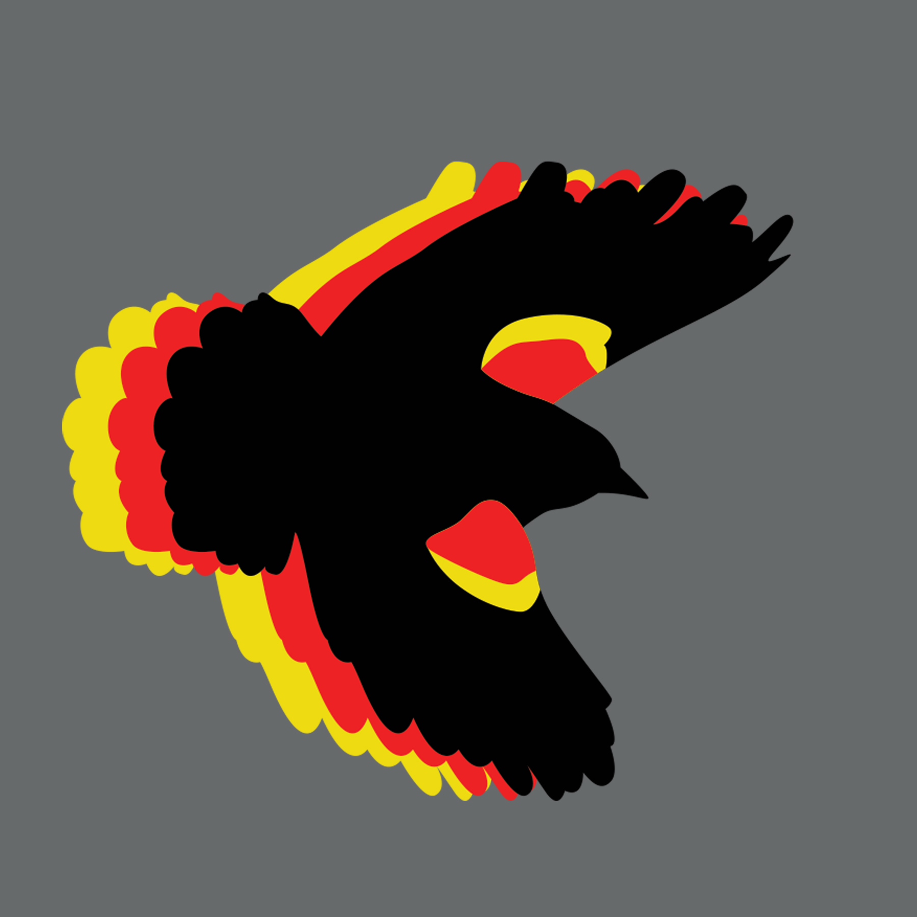user avatar image for Sketchless