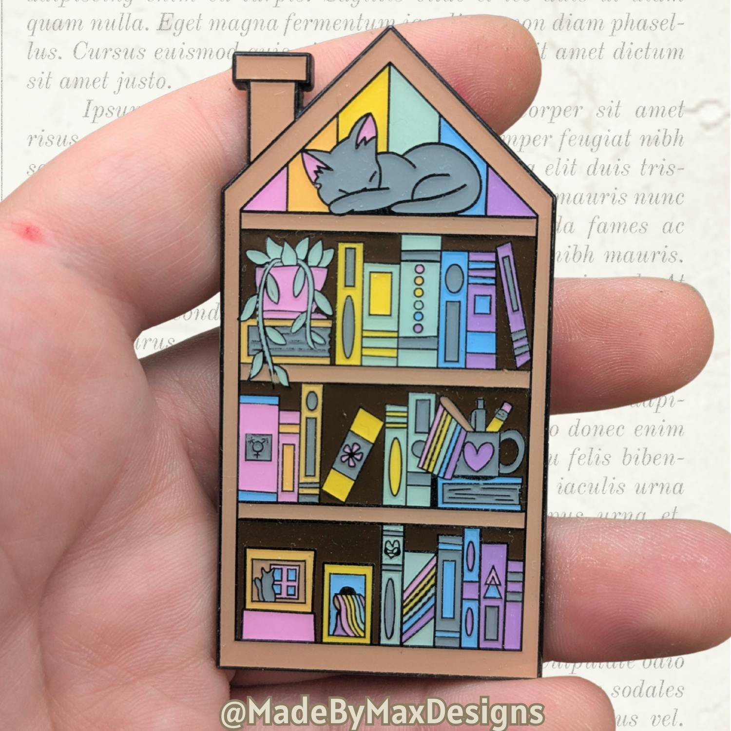 LGBTQ+ Bookcase Pin