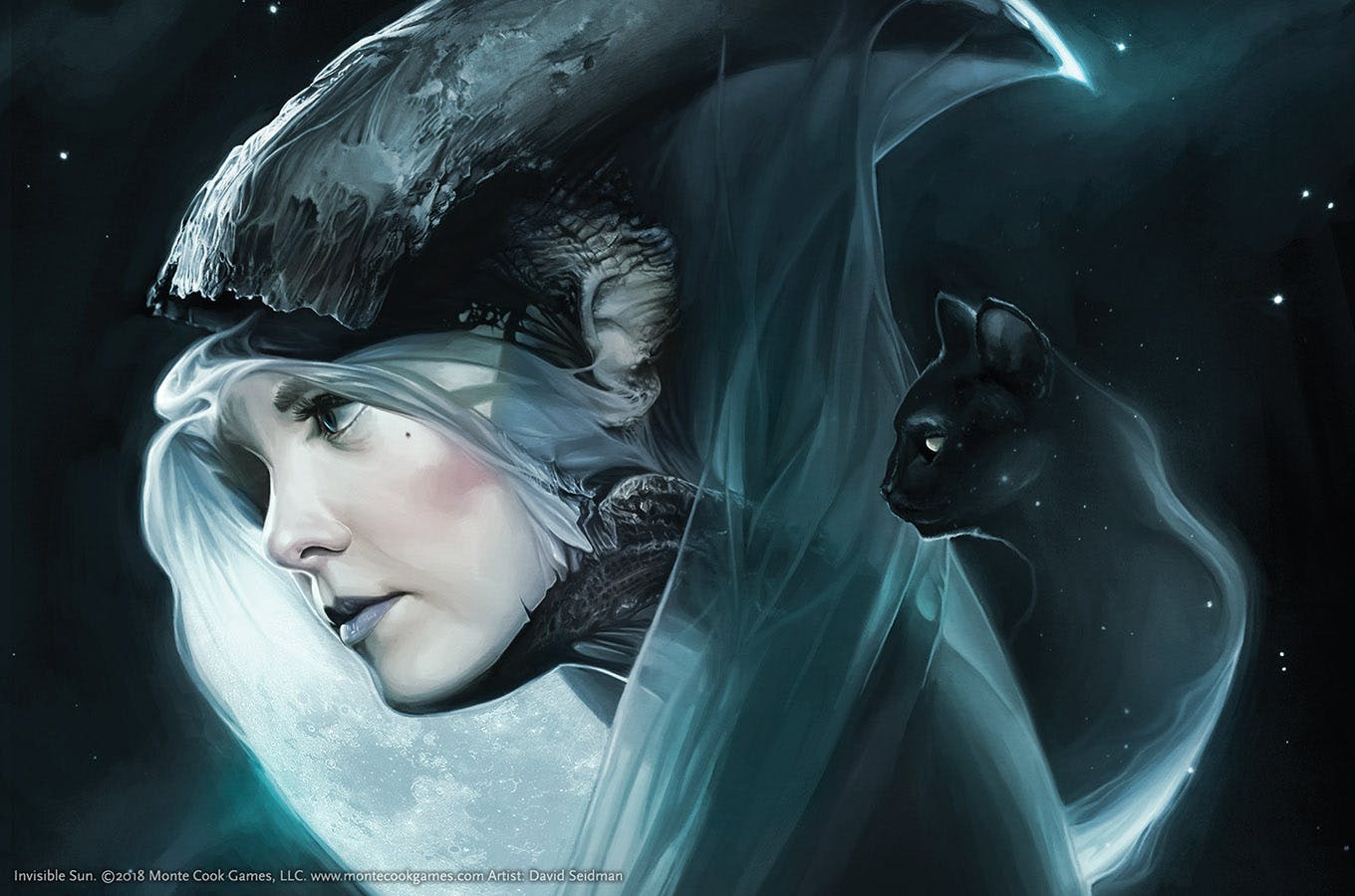 An illustration of a Moon Witch with a black cat.