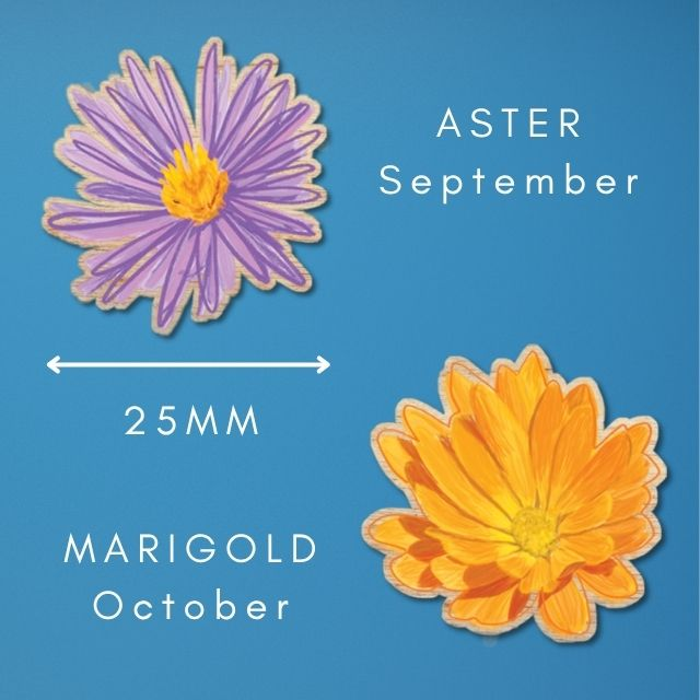 Aster & Marigold