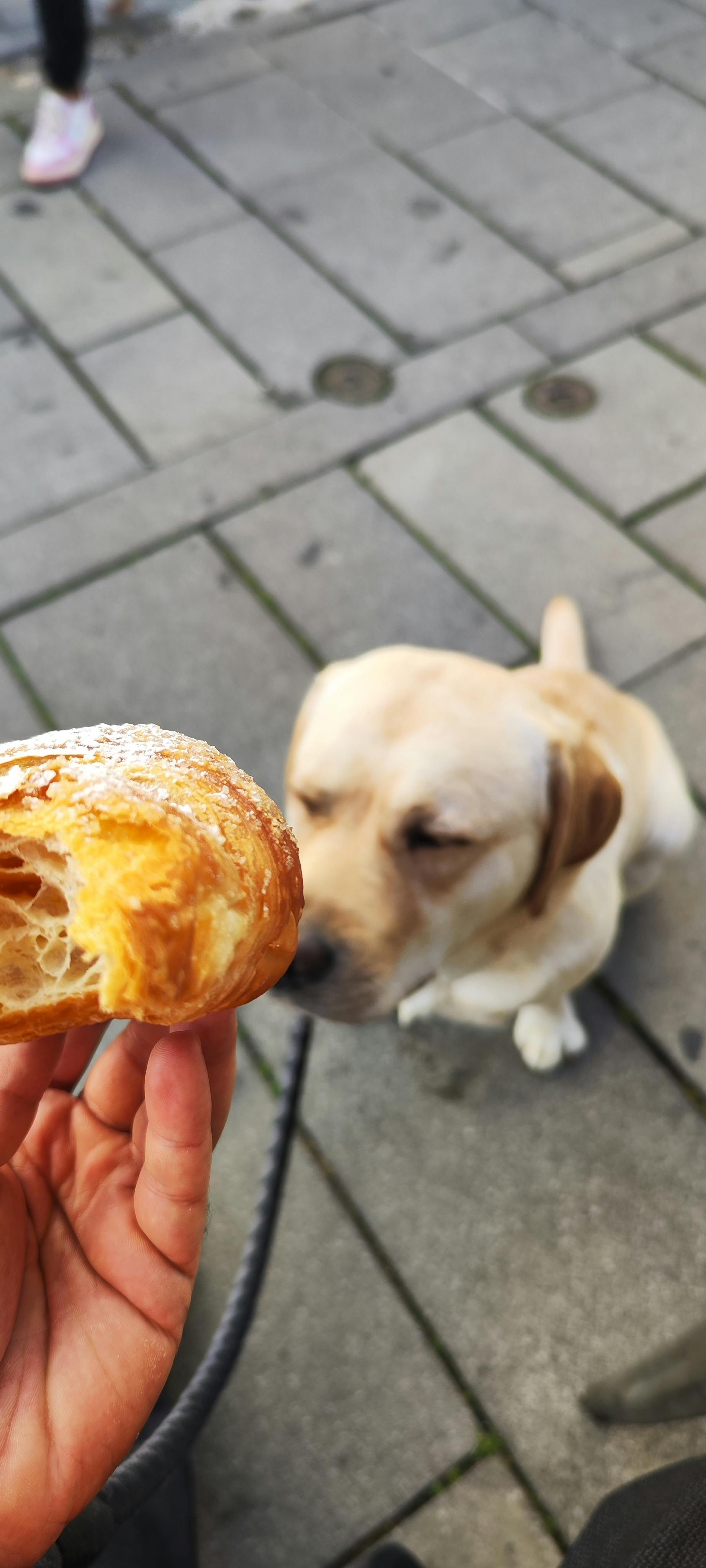 user avatar image for thatguykewlo