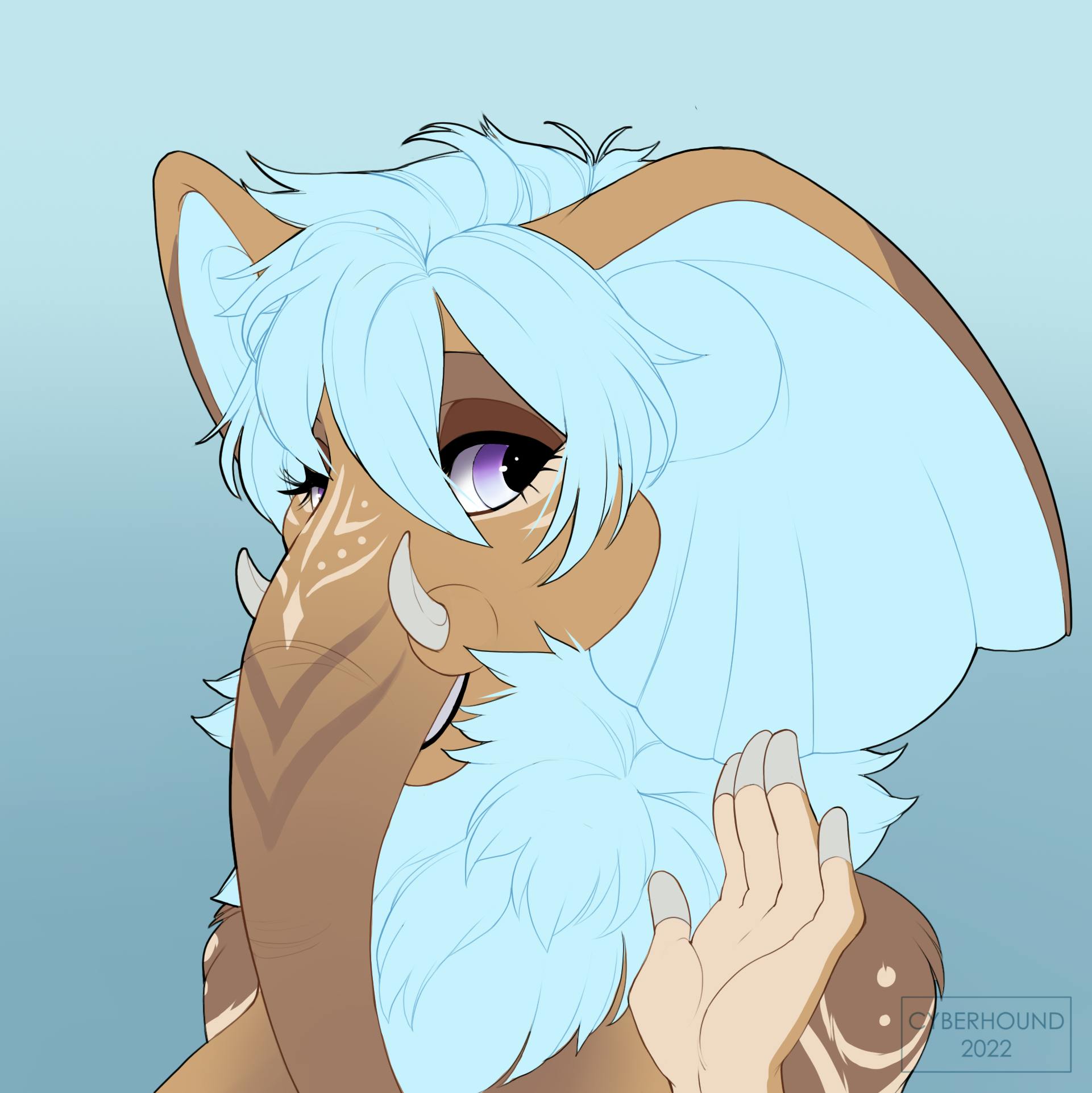 user avatar image for Nala Elephant 