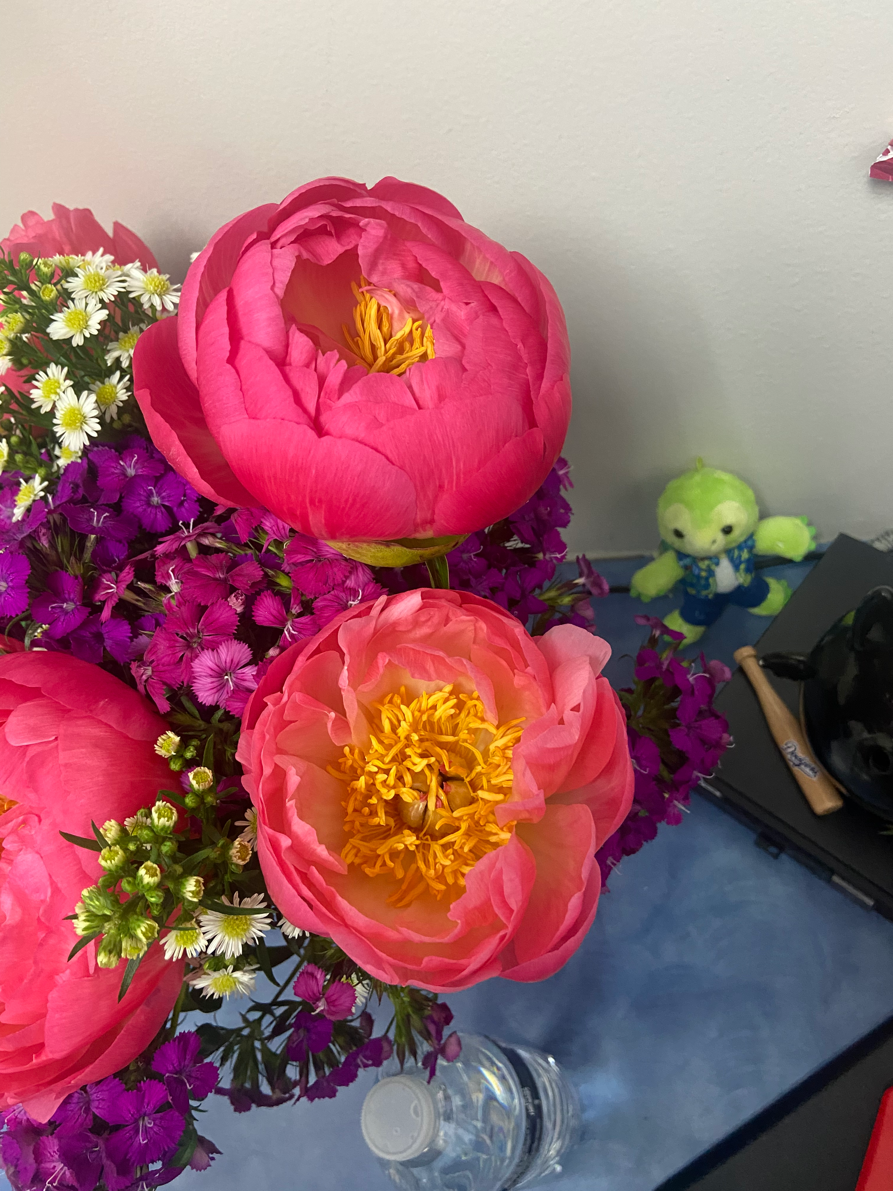 user avatar image for Astro Flores