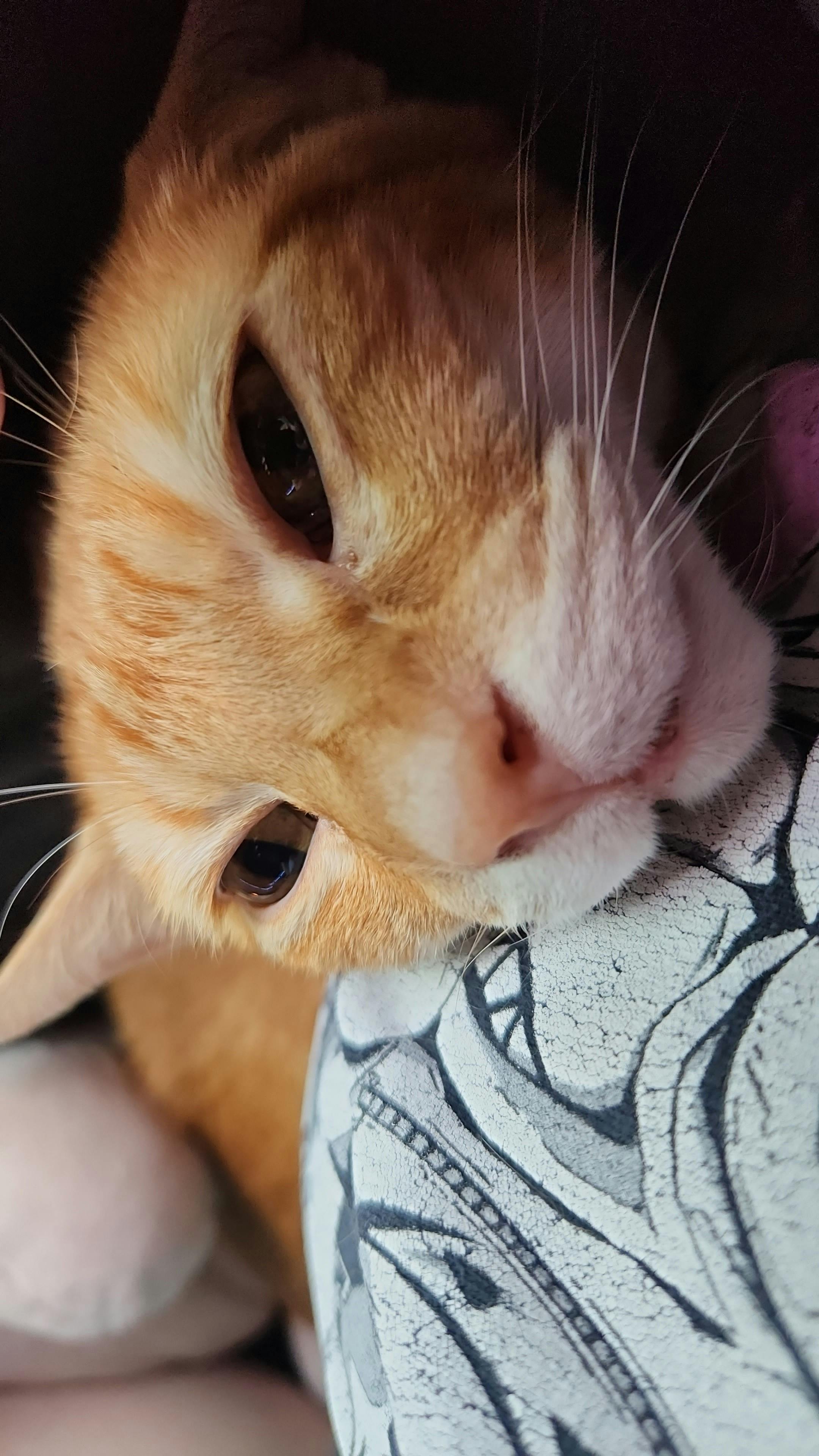 user avatar image for Kenzee 