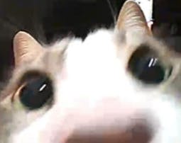 user avatar image for AlBird