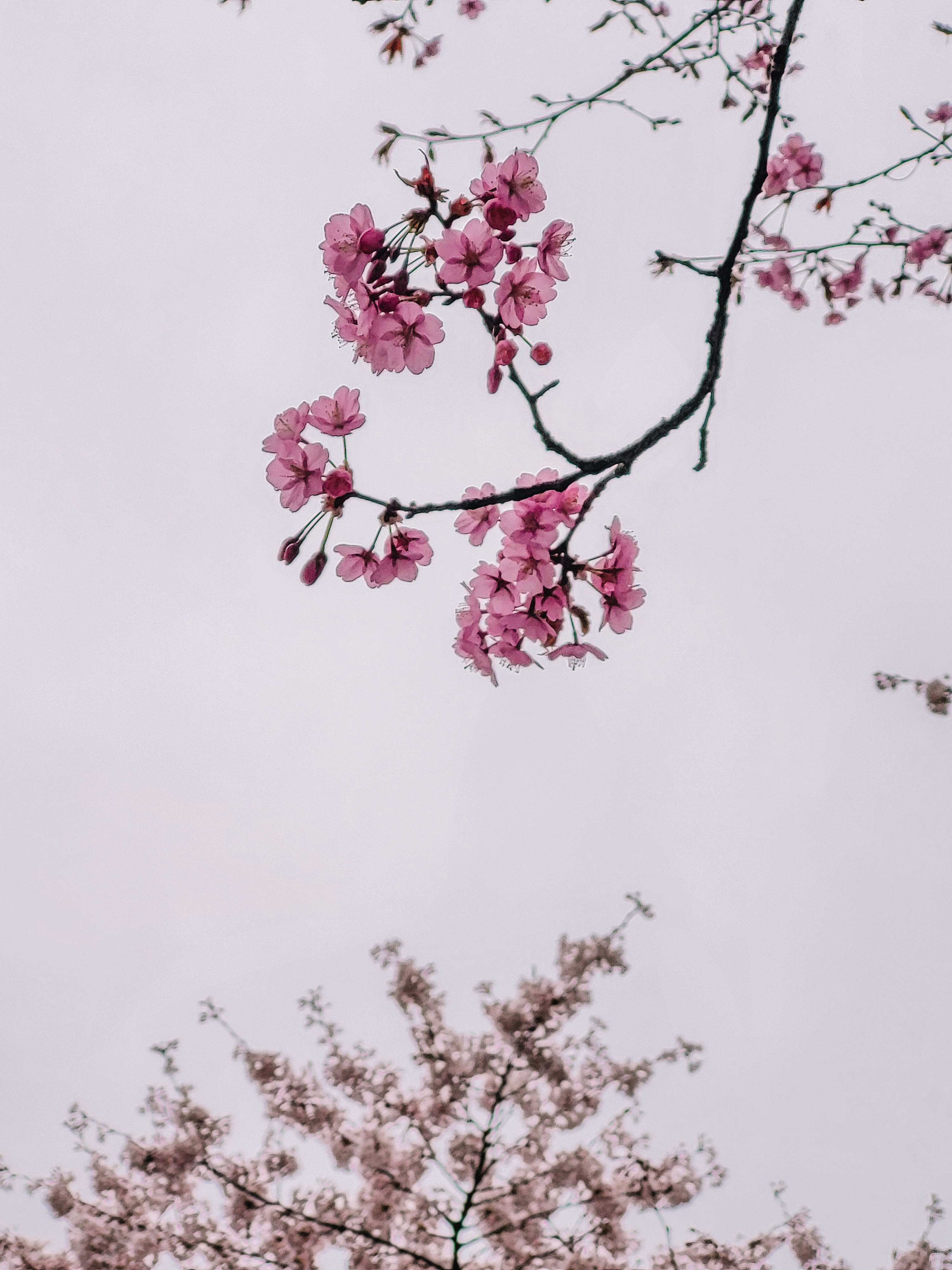 user avatar image for Liffey 