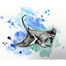 user avatar image for Zoya2515 